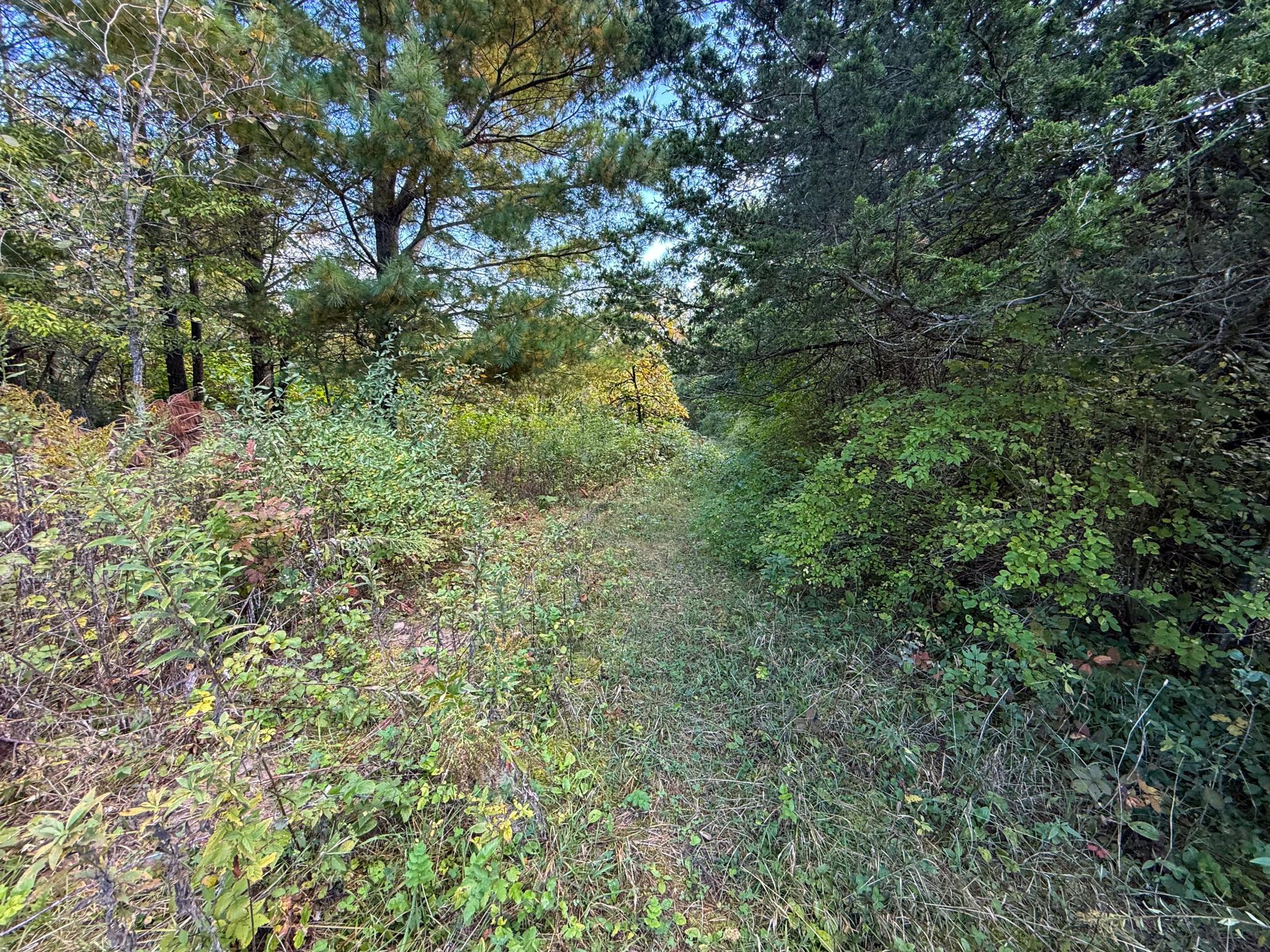 main property photo 29
