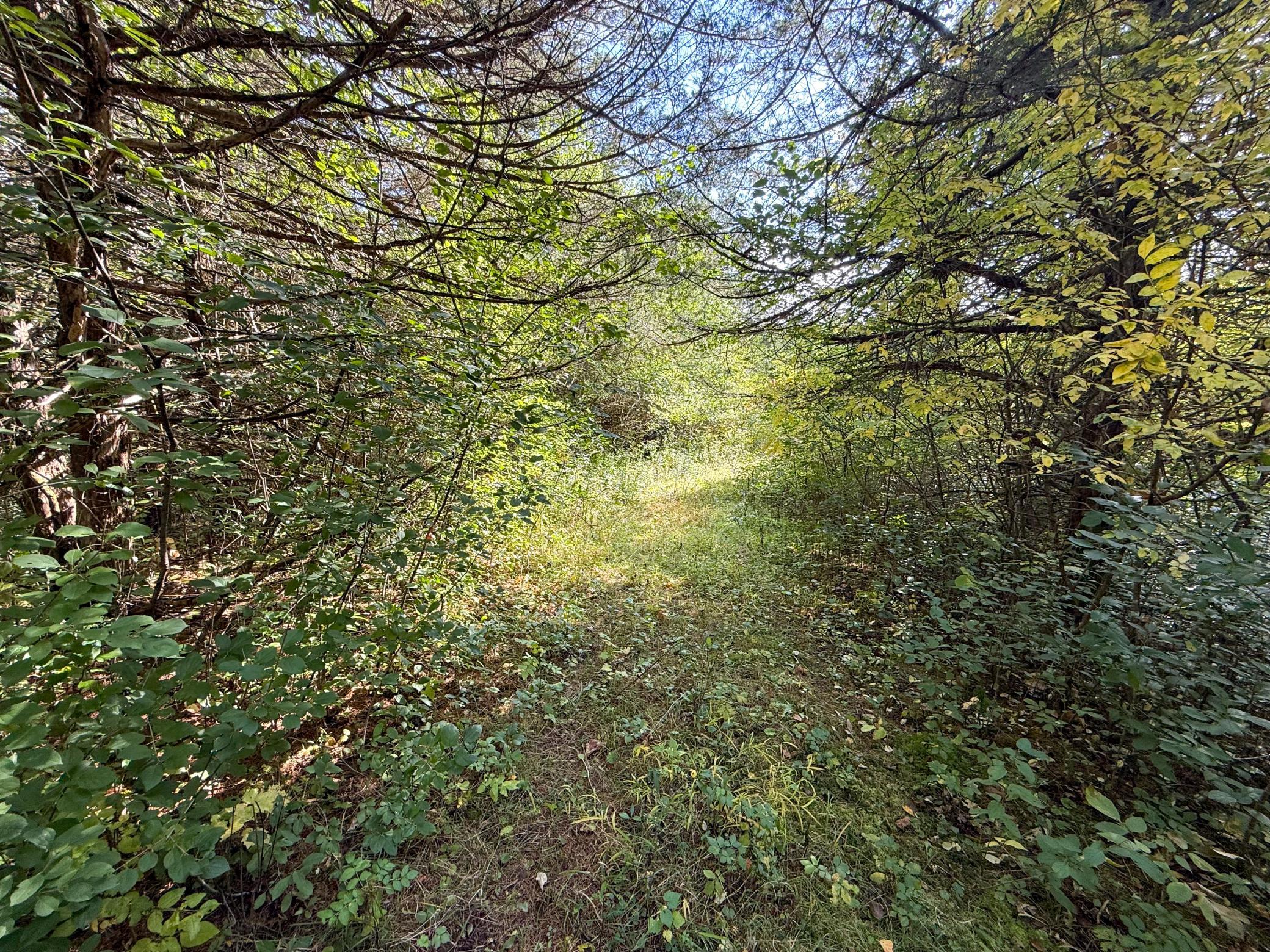 main property photo 32