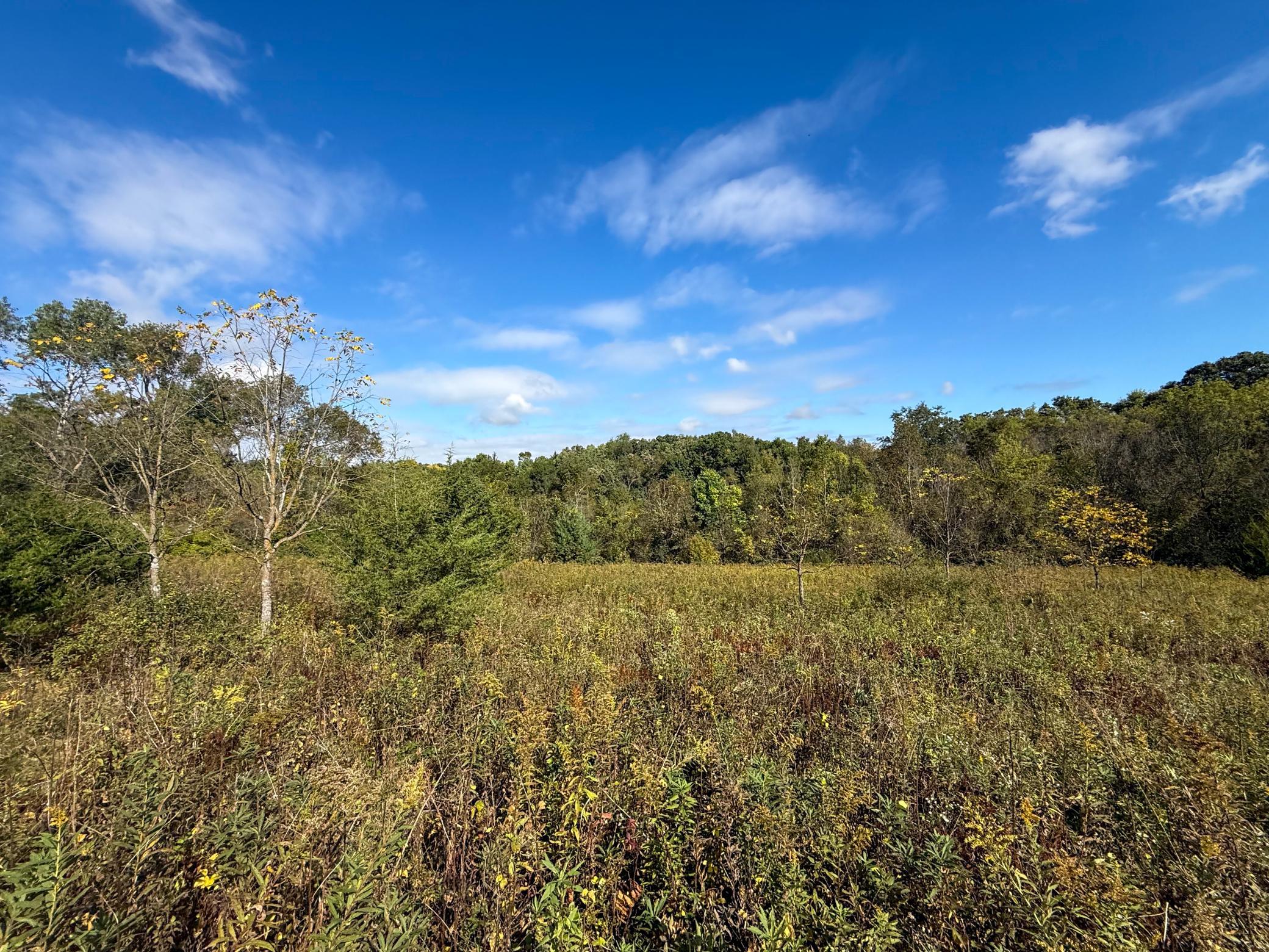 main property photo 48