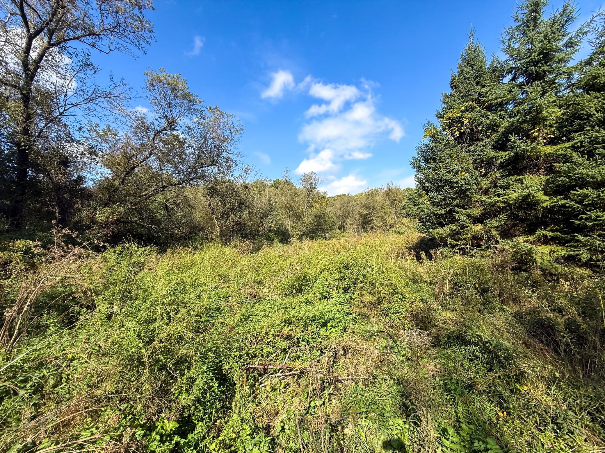 main property photo 50