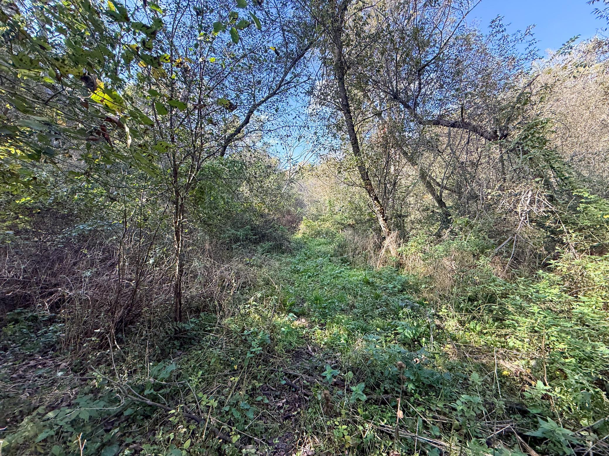 main property photo 51