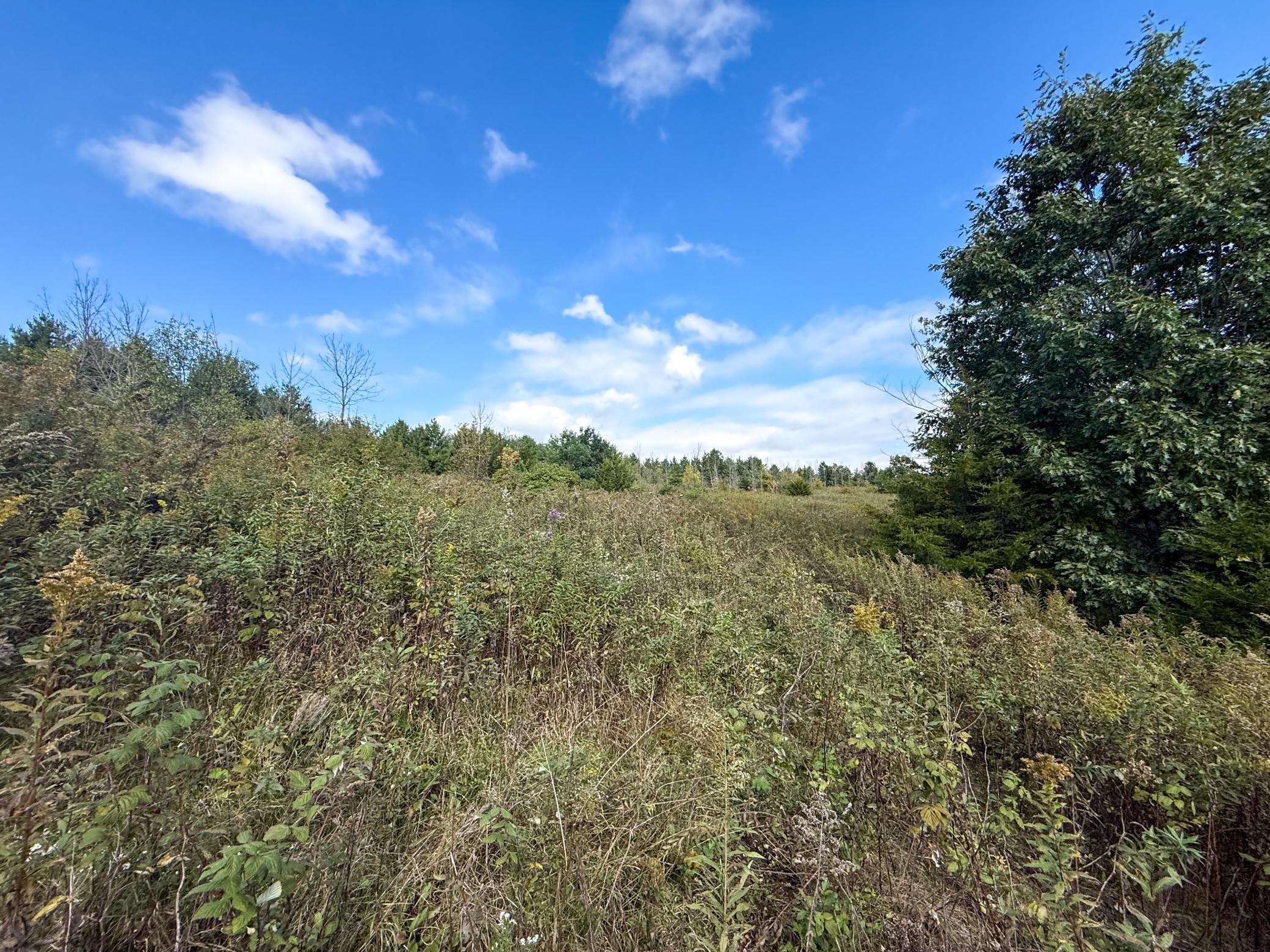 main property photo 52