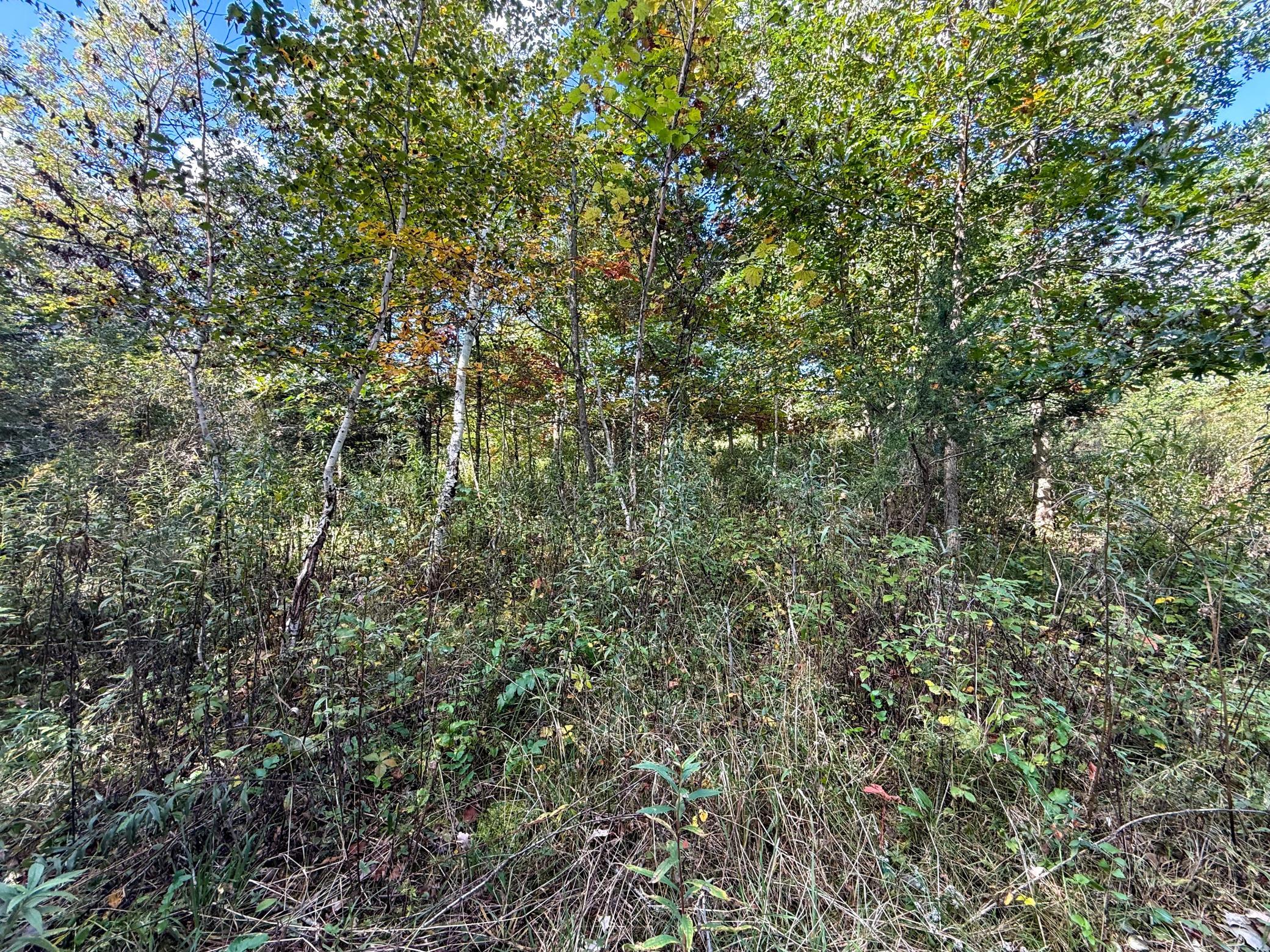 main property photo 53