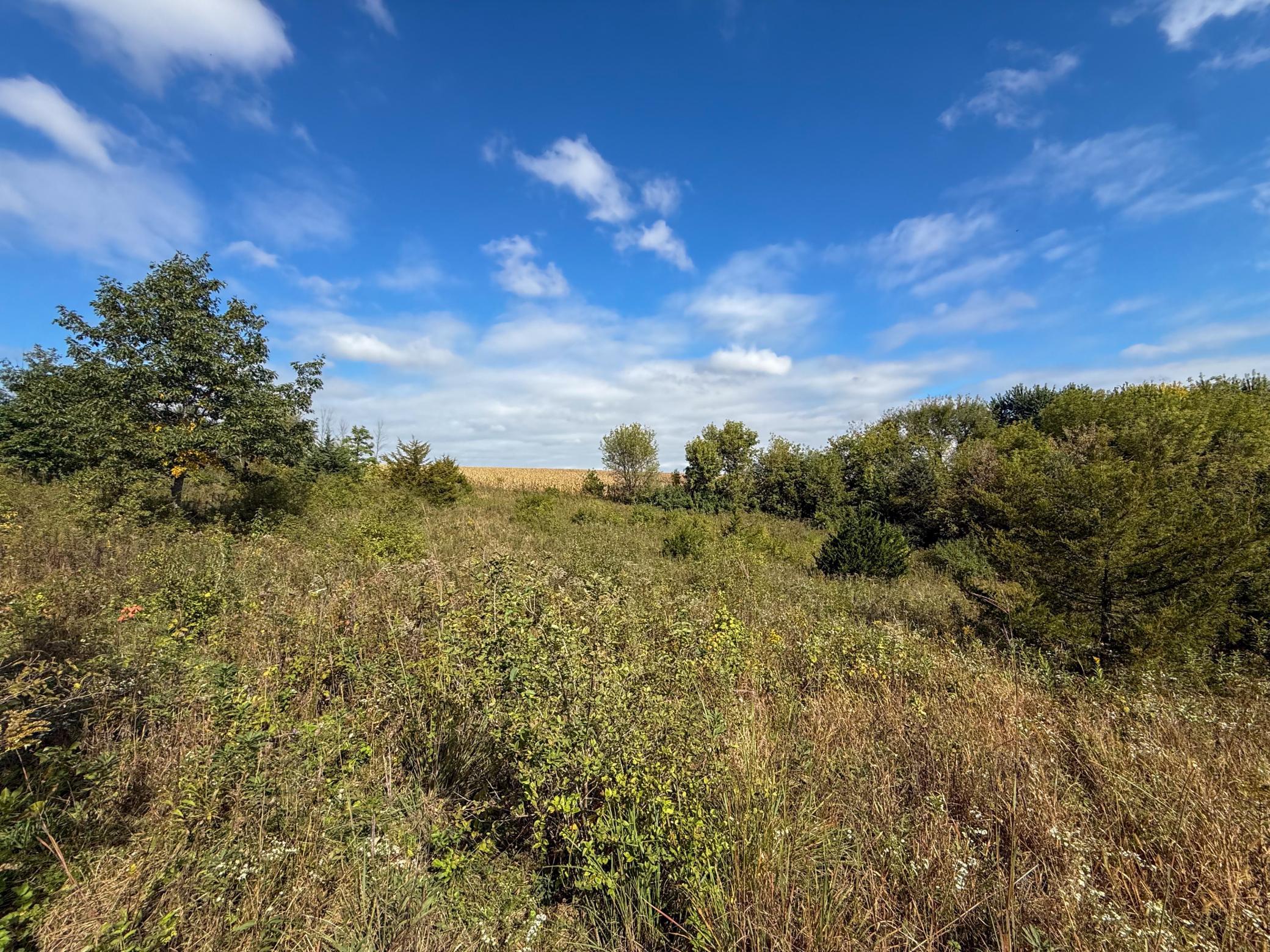 main property photo 56