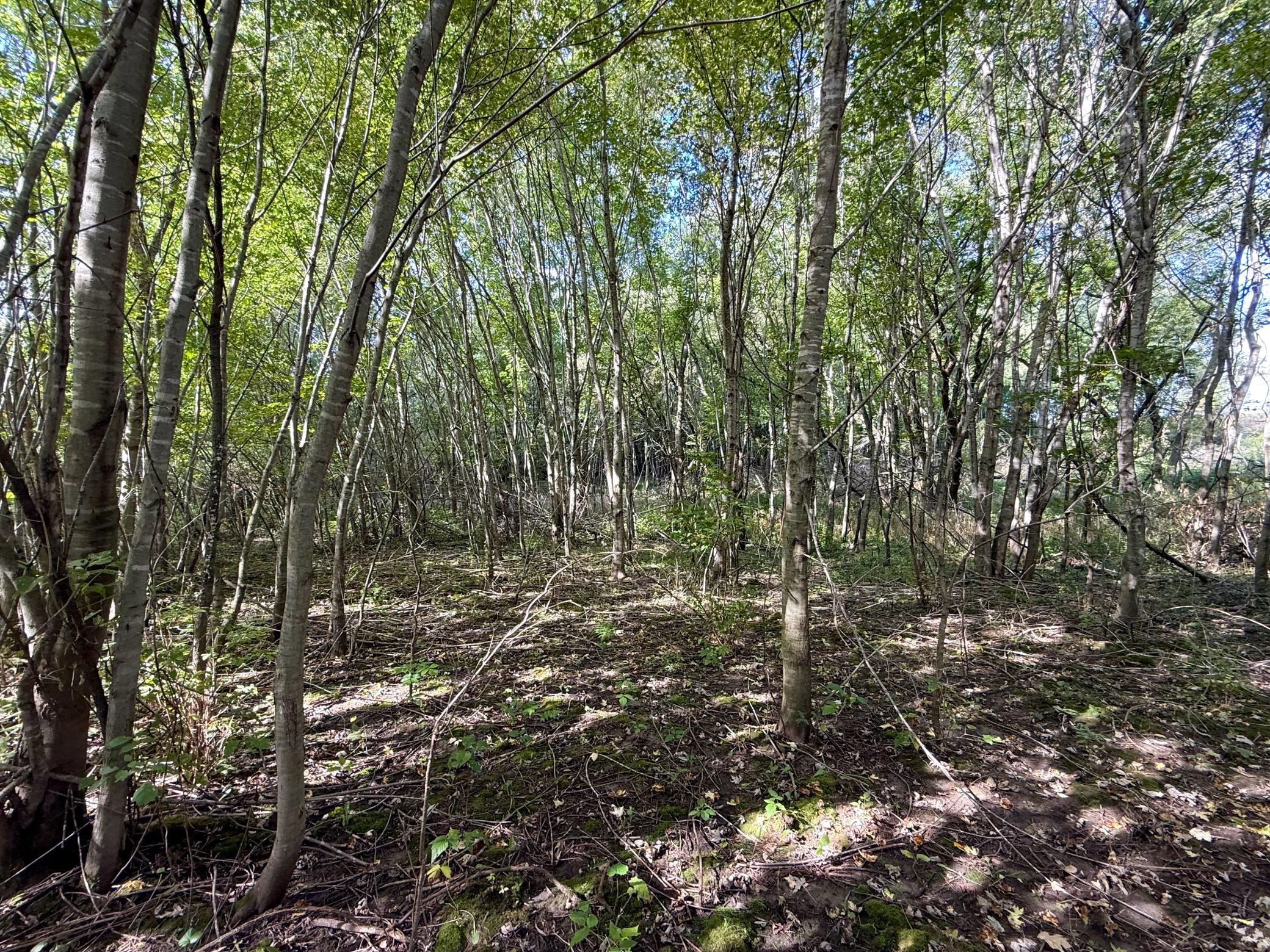 main property photo 57