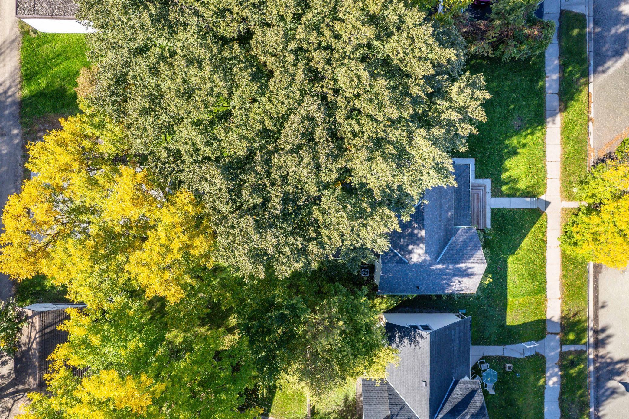 main property photo 62