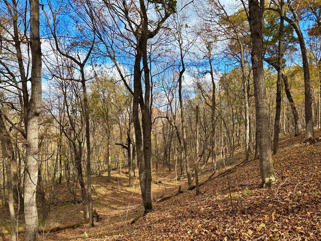 main property photo 81