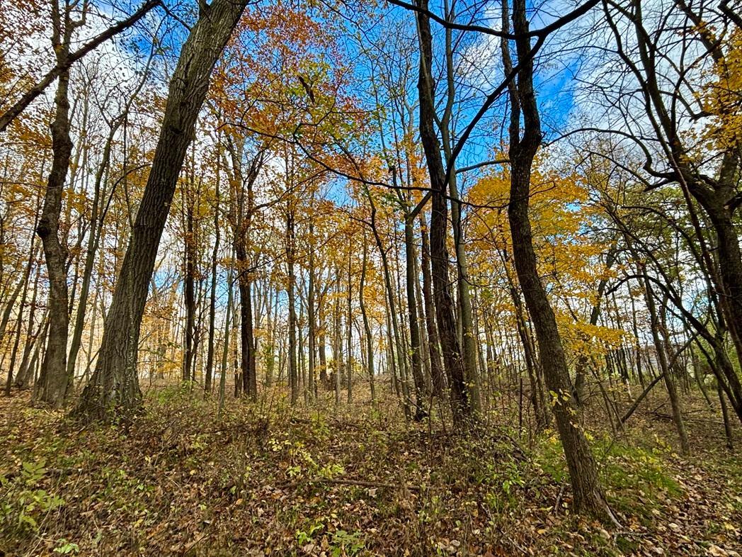 main property photo 88