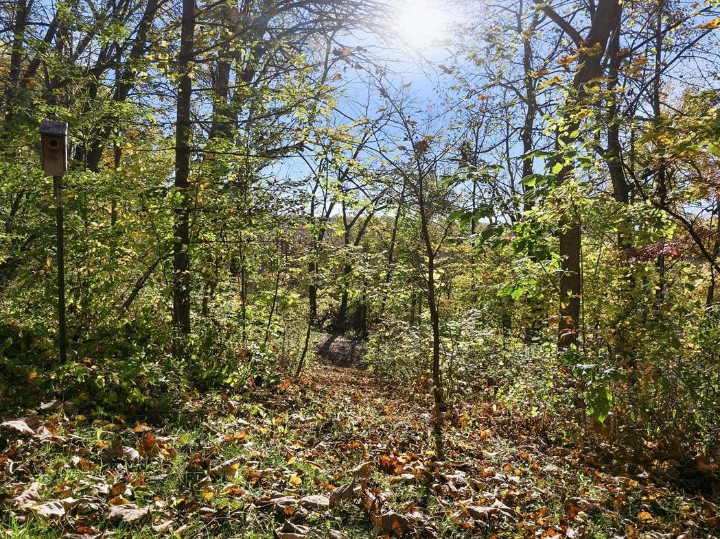 main property photo 94