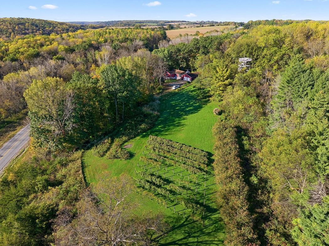 main property photo 97
