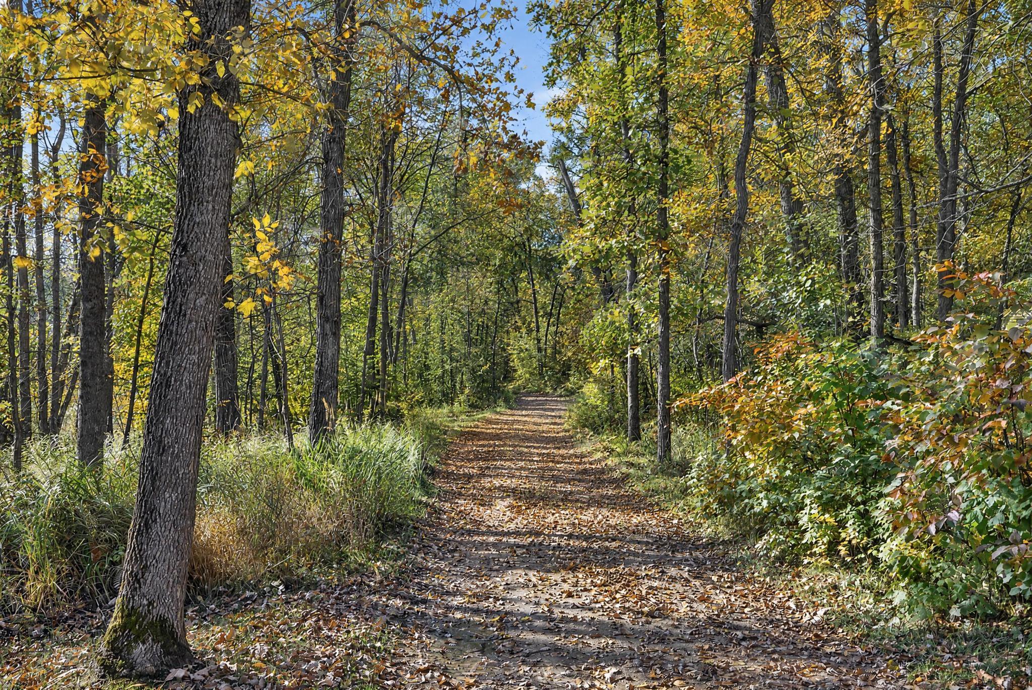 main property photo 50