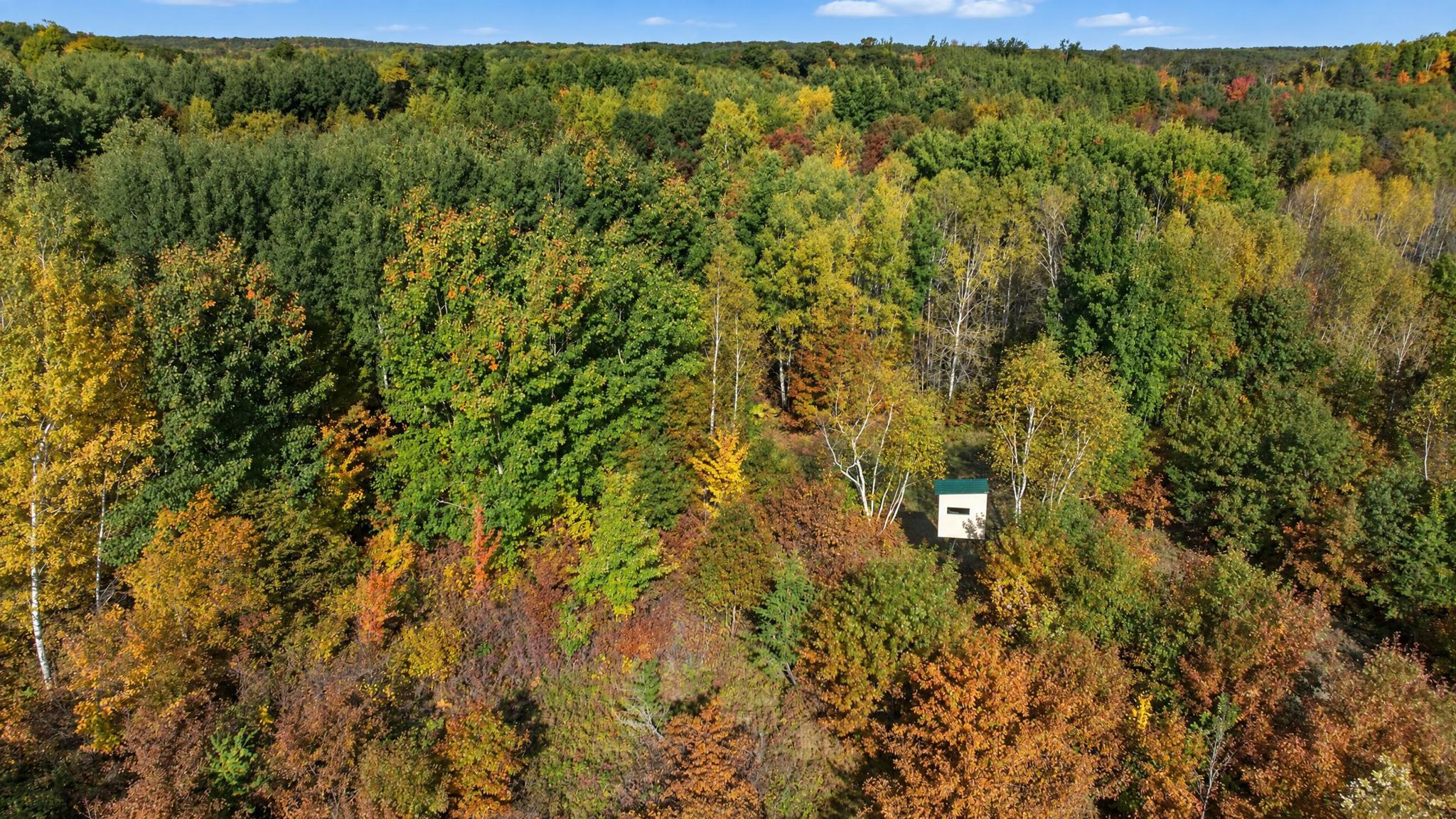 main property photo 54