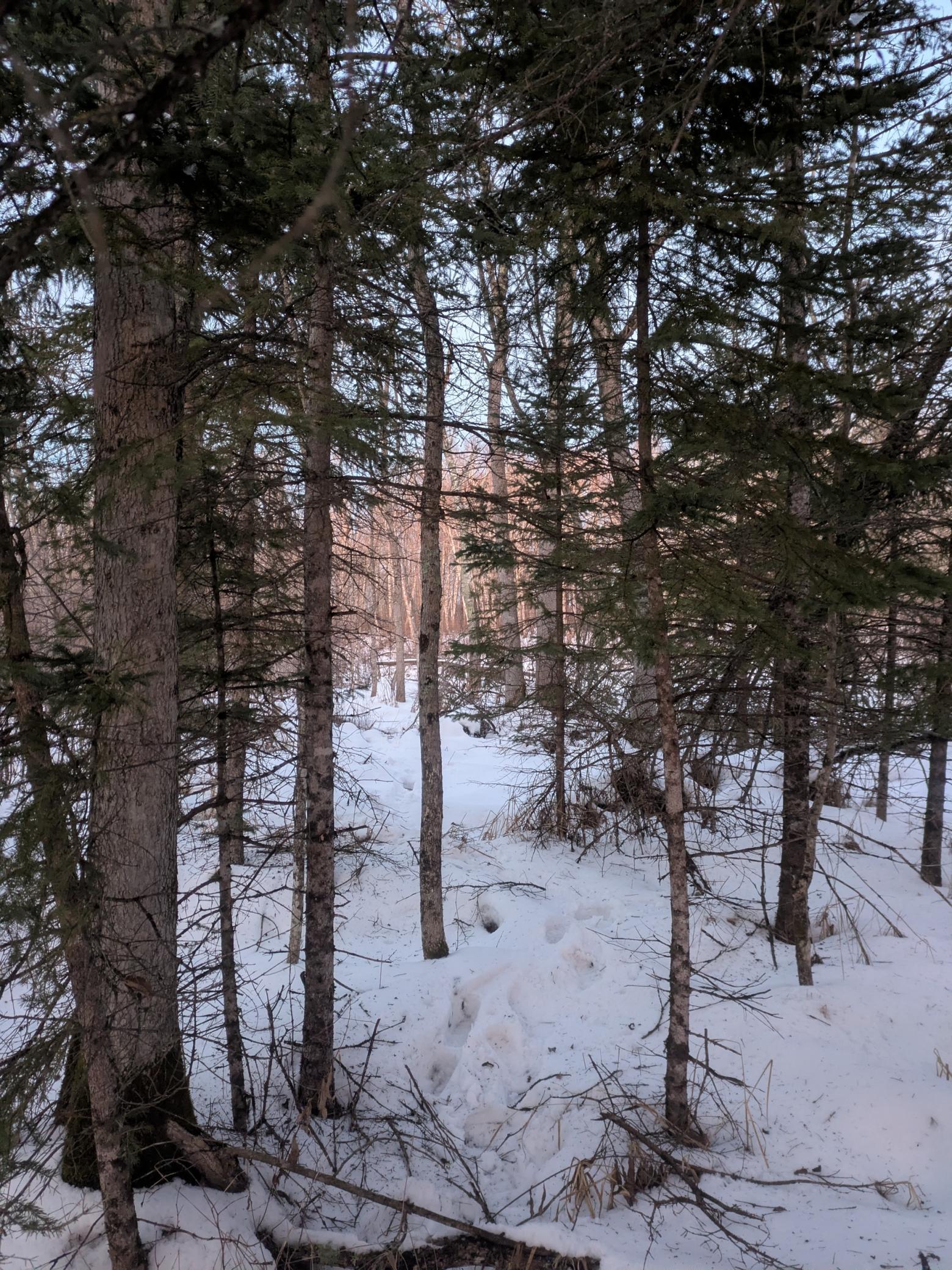 main property photo 15