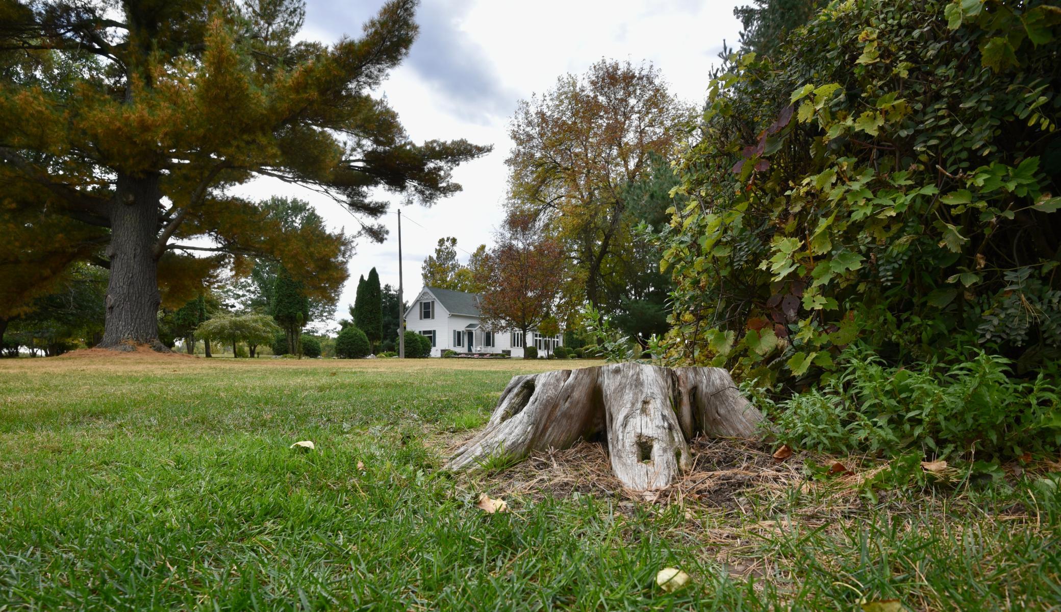 main property photo 14