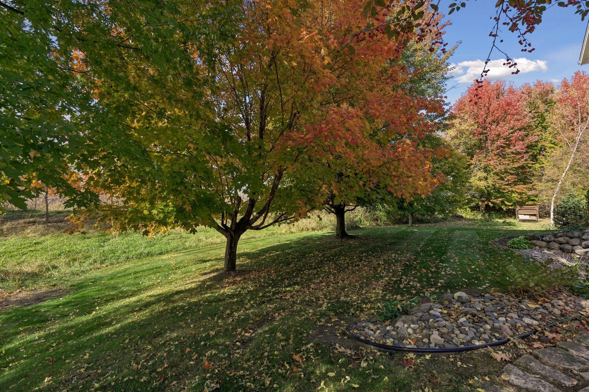 main property photo 52