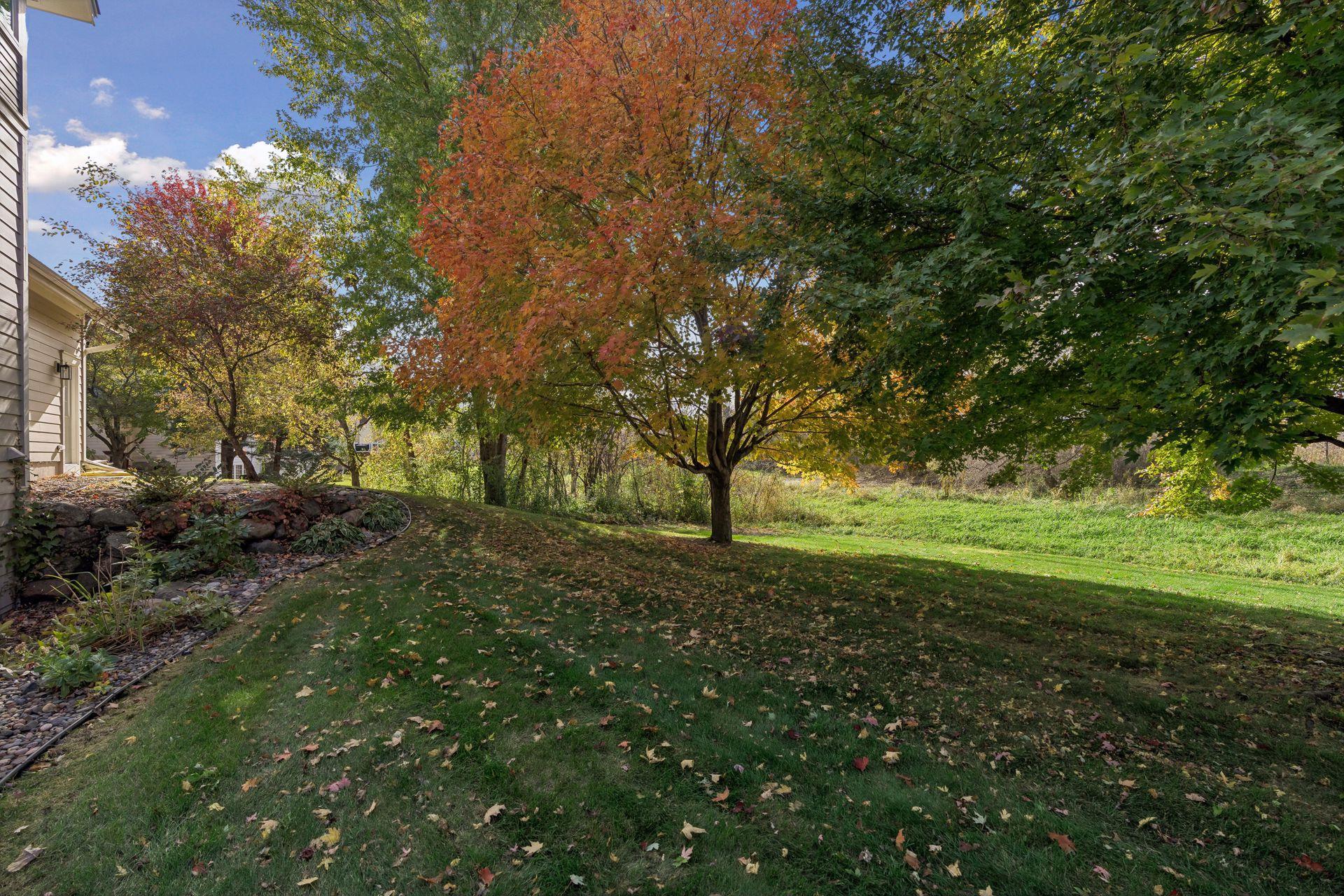 main property photo 53