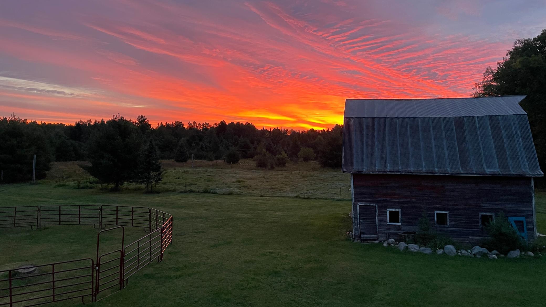 main property photo 50