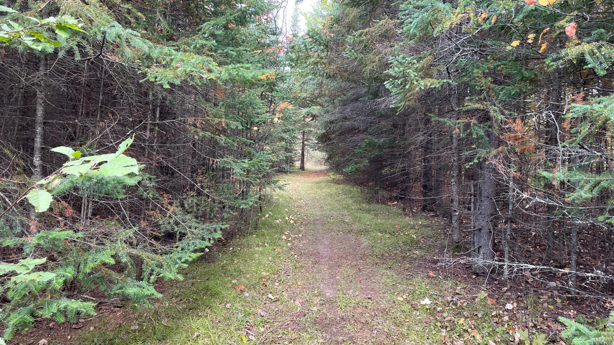 main property photo 52