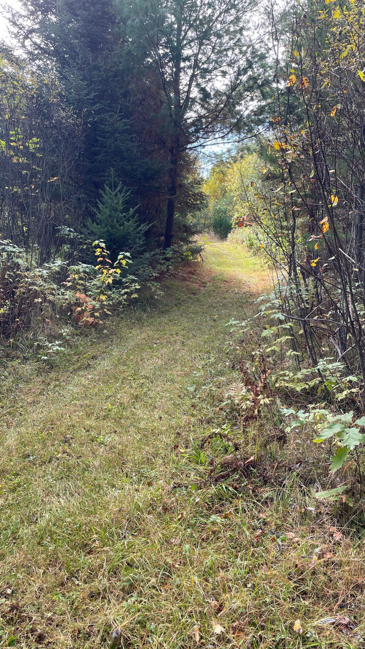 main property photo 53