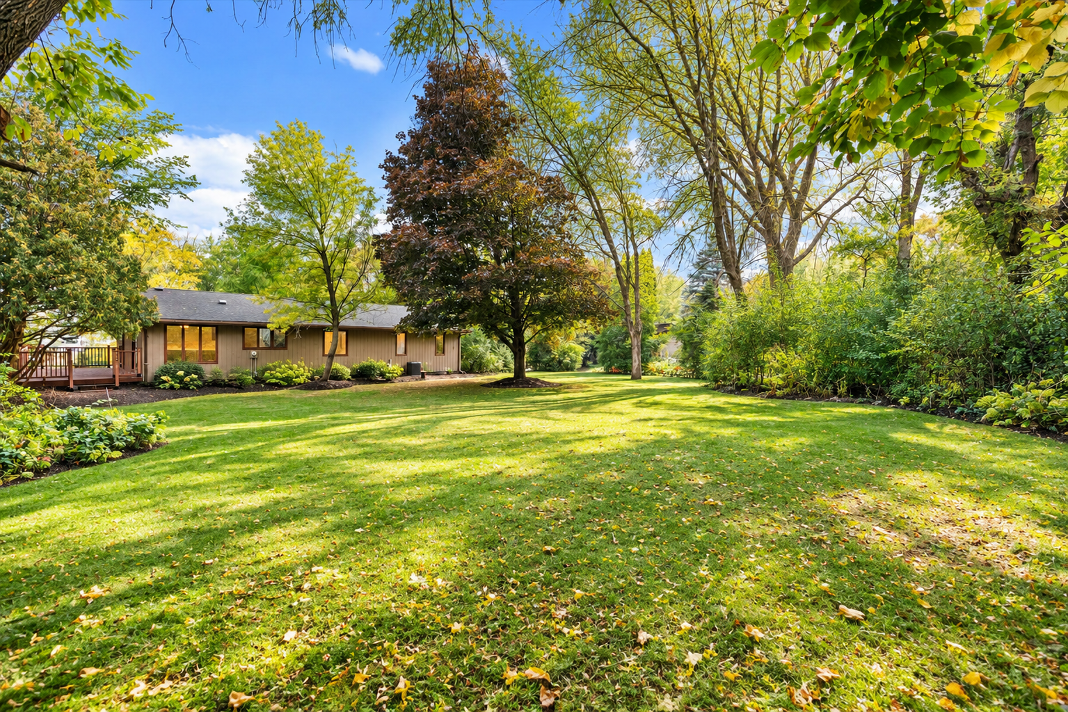 main property photo 13