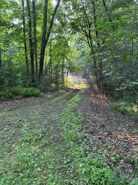 main property photo 28