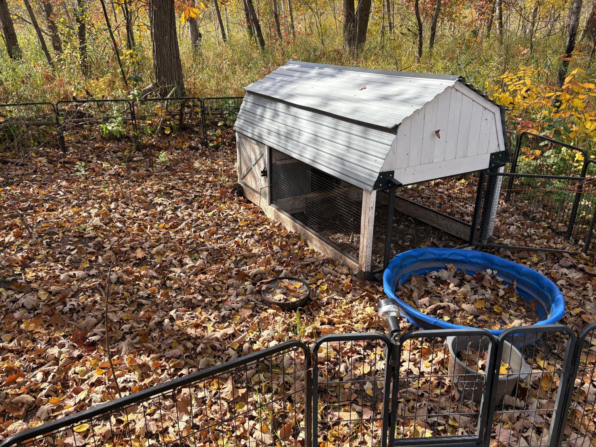 main property photo 36