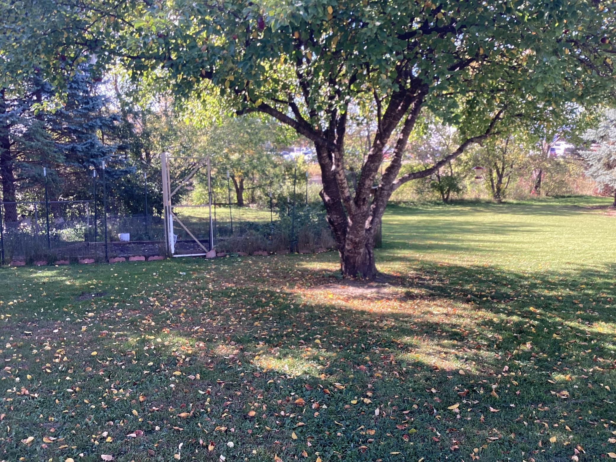 main property photo 11
