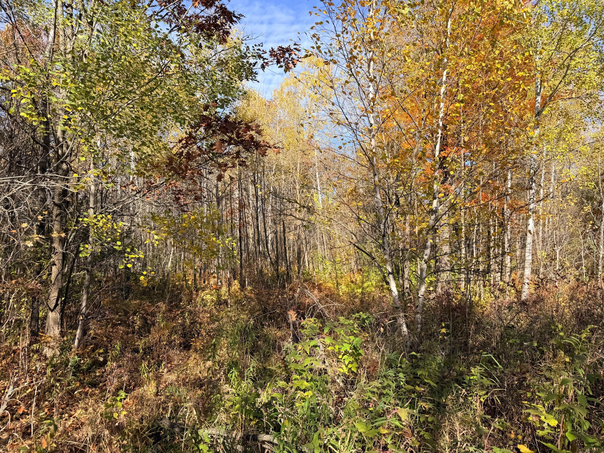 main property photo 13