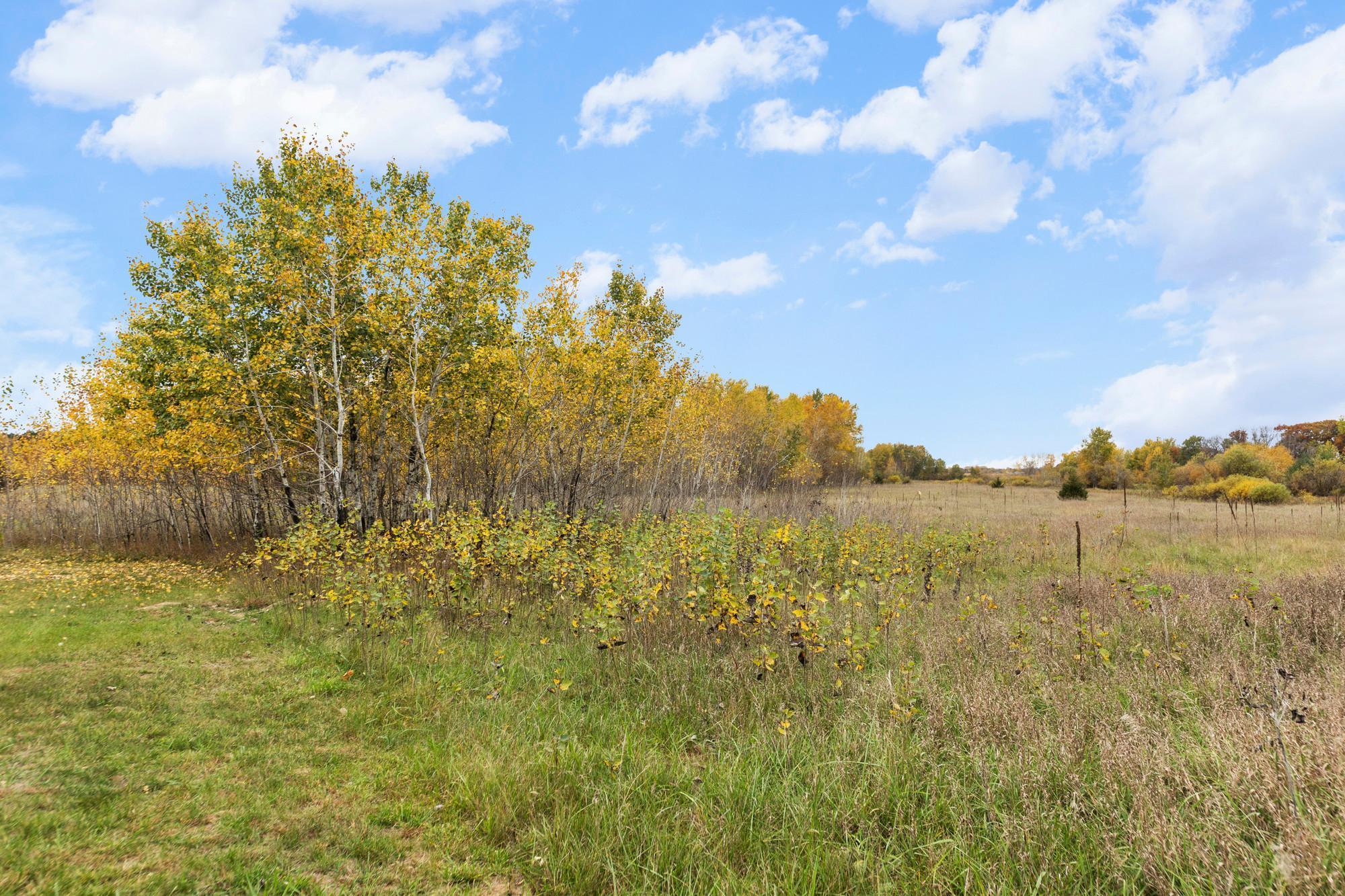 main property photo 57