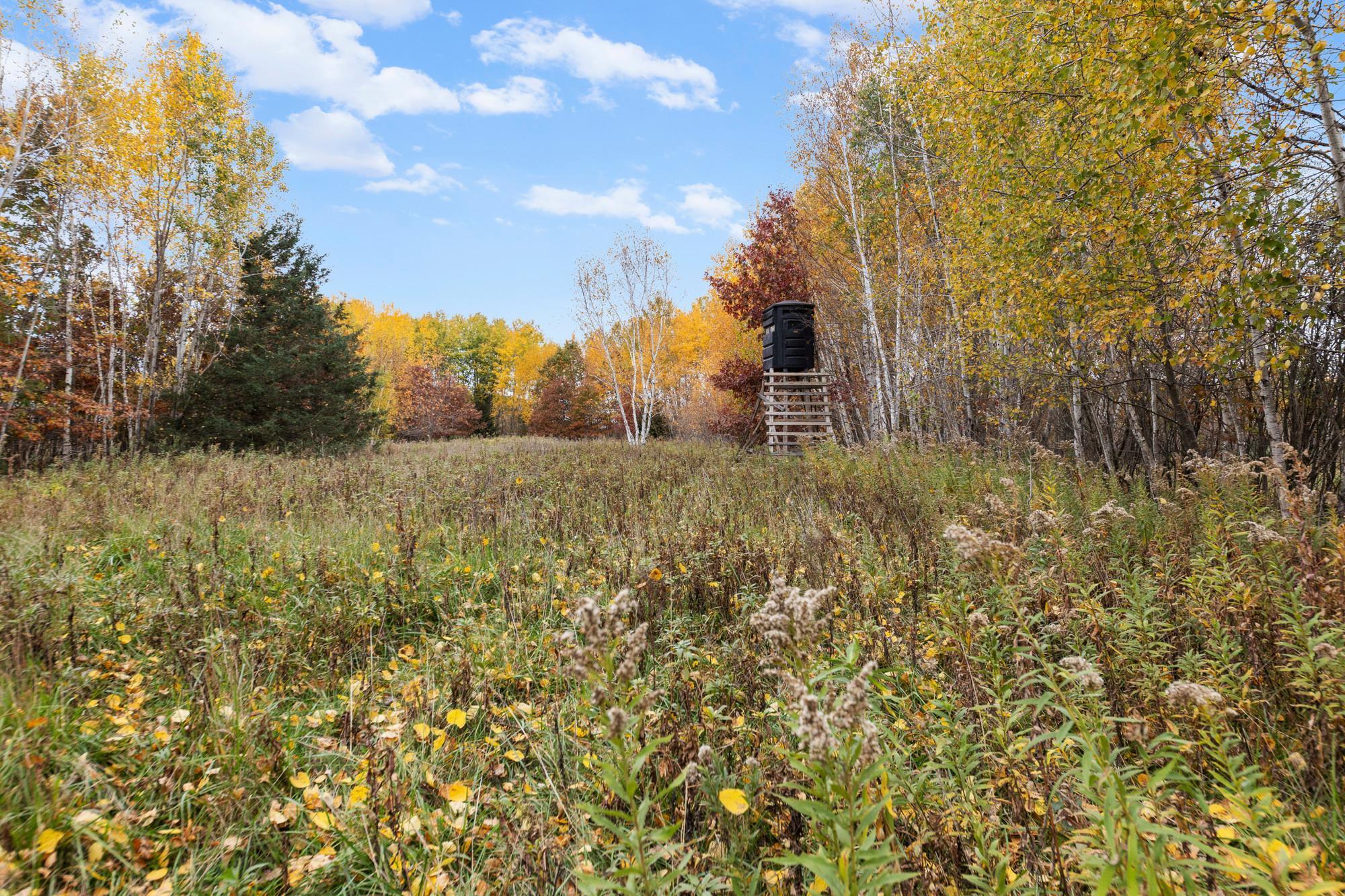main property photo 61