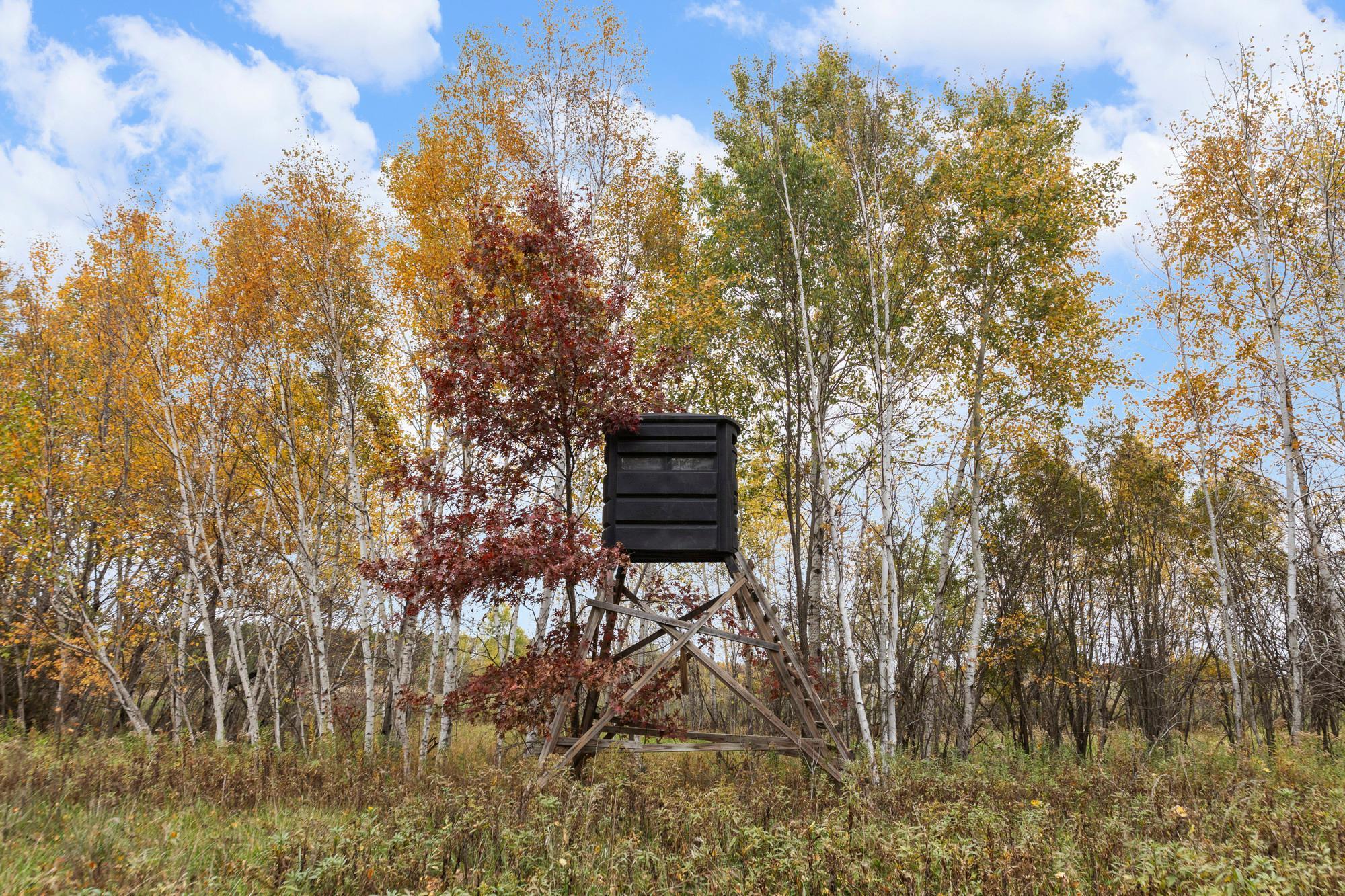 main property photo 64
