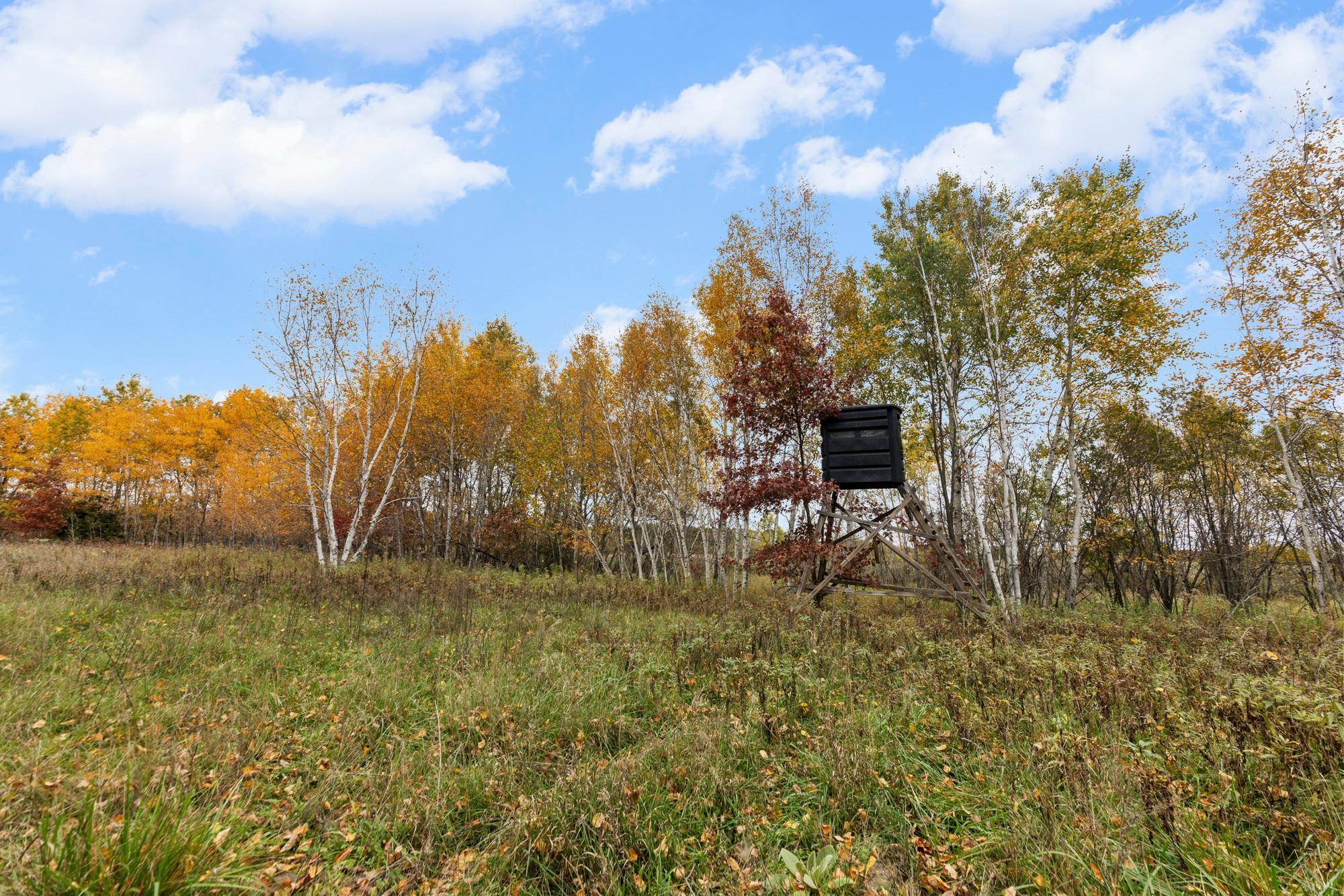 main property photo 65