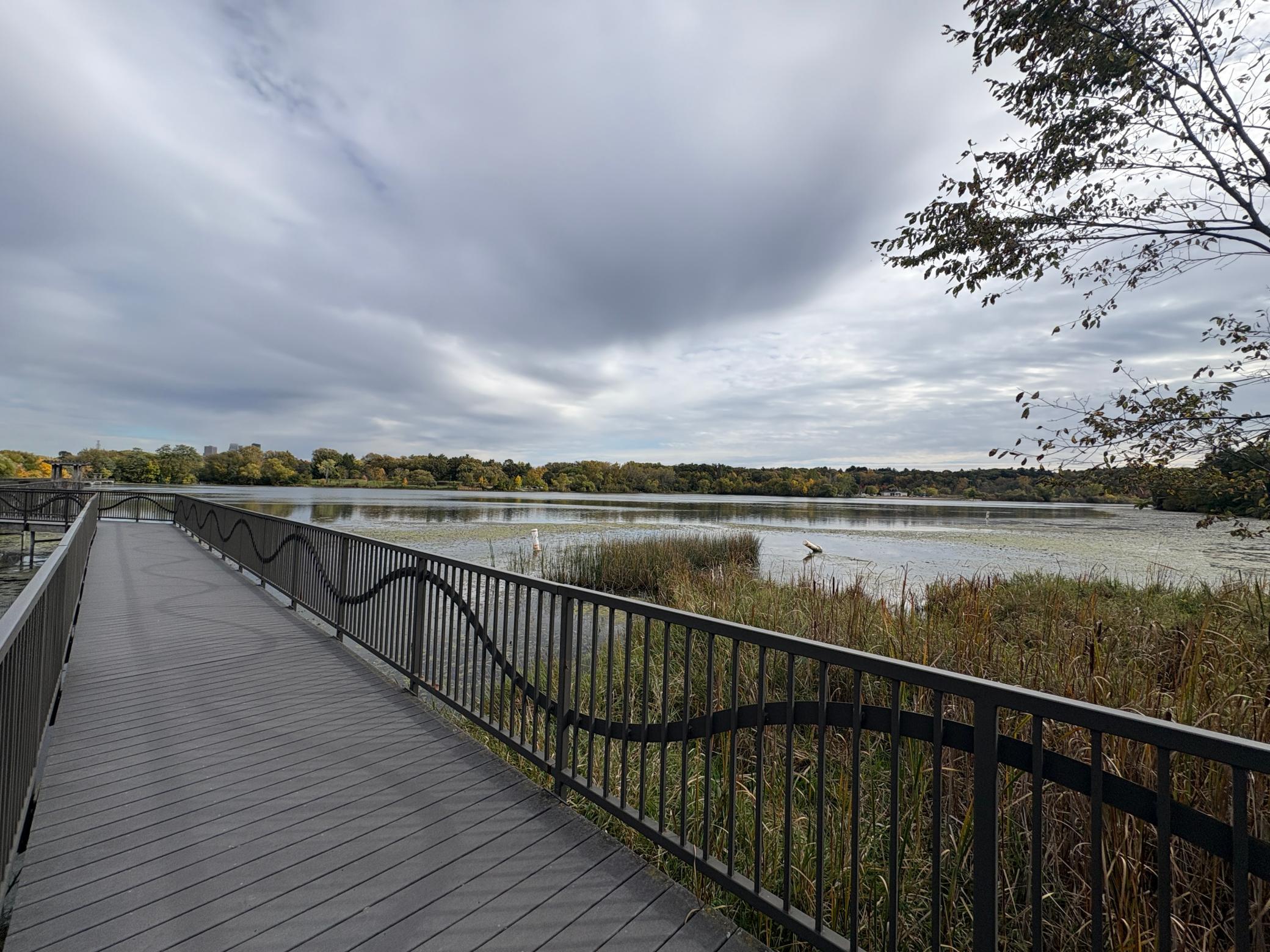 main property photo 56