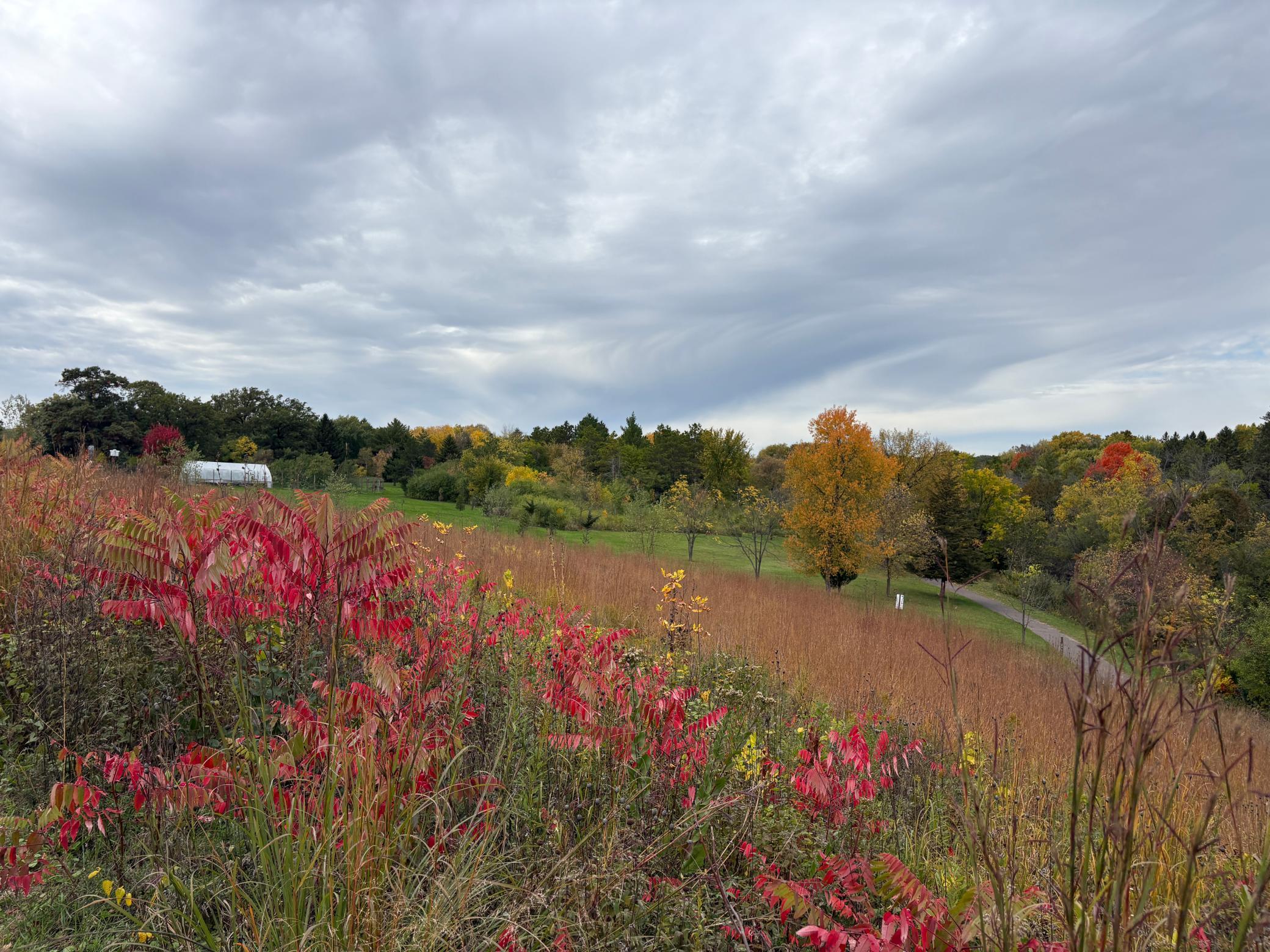 main property photo 61