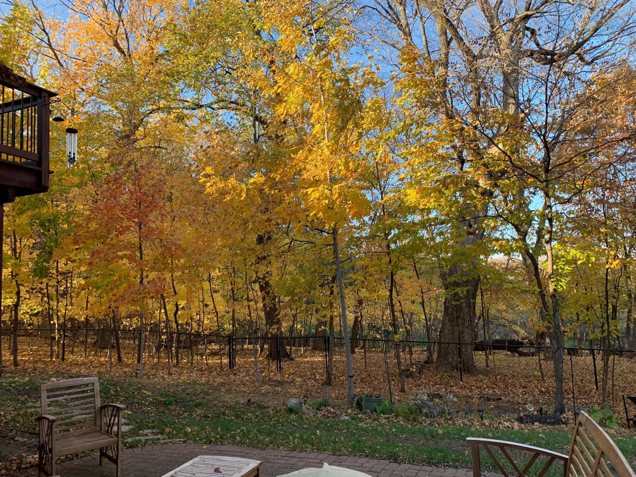 main property photo 44