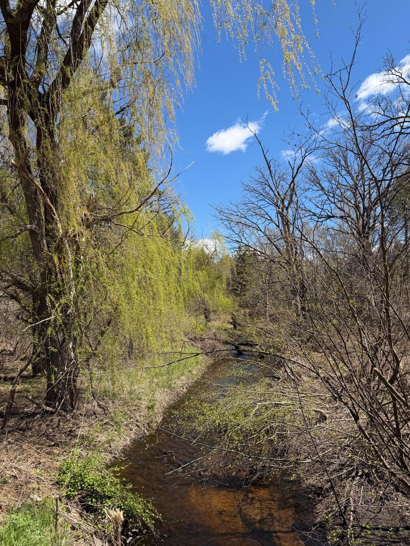main property photo 26
