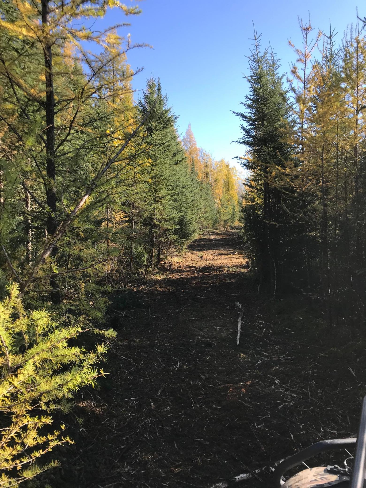main property photo 21