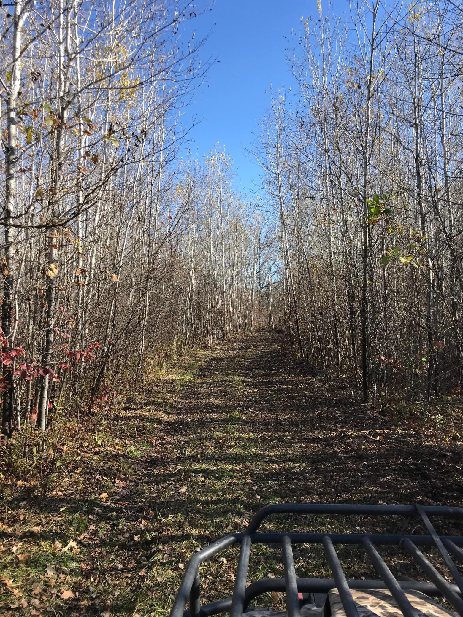 main property photo 28