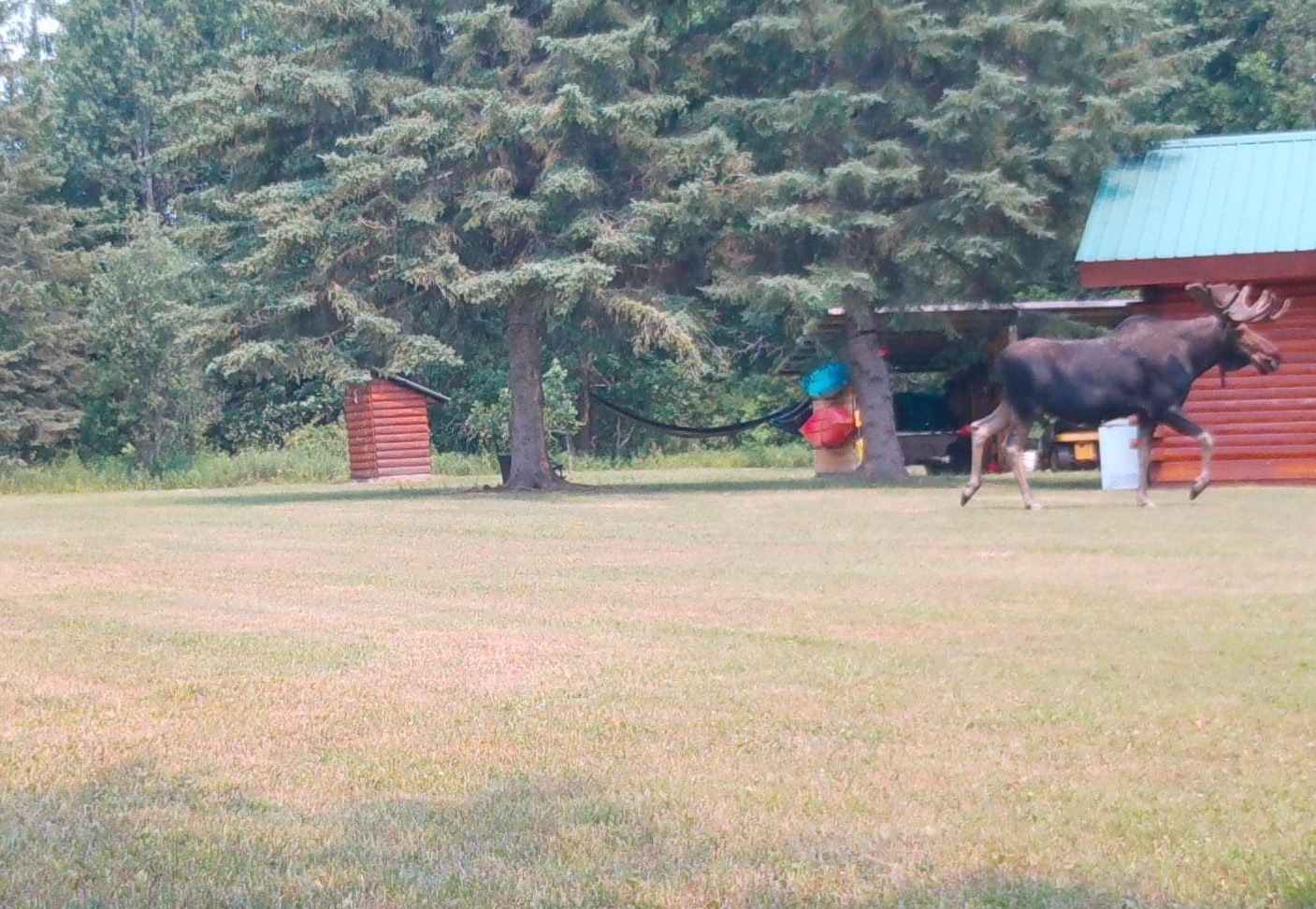 main property photo 7
