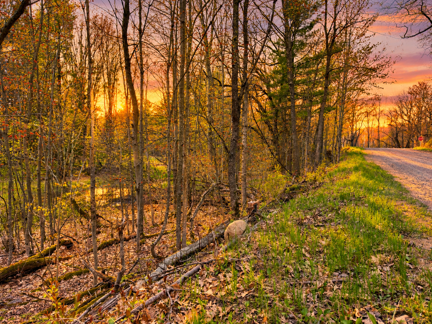 main property photo 4