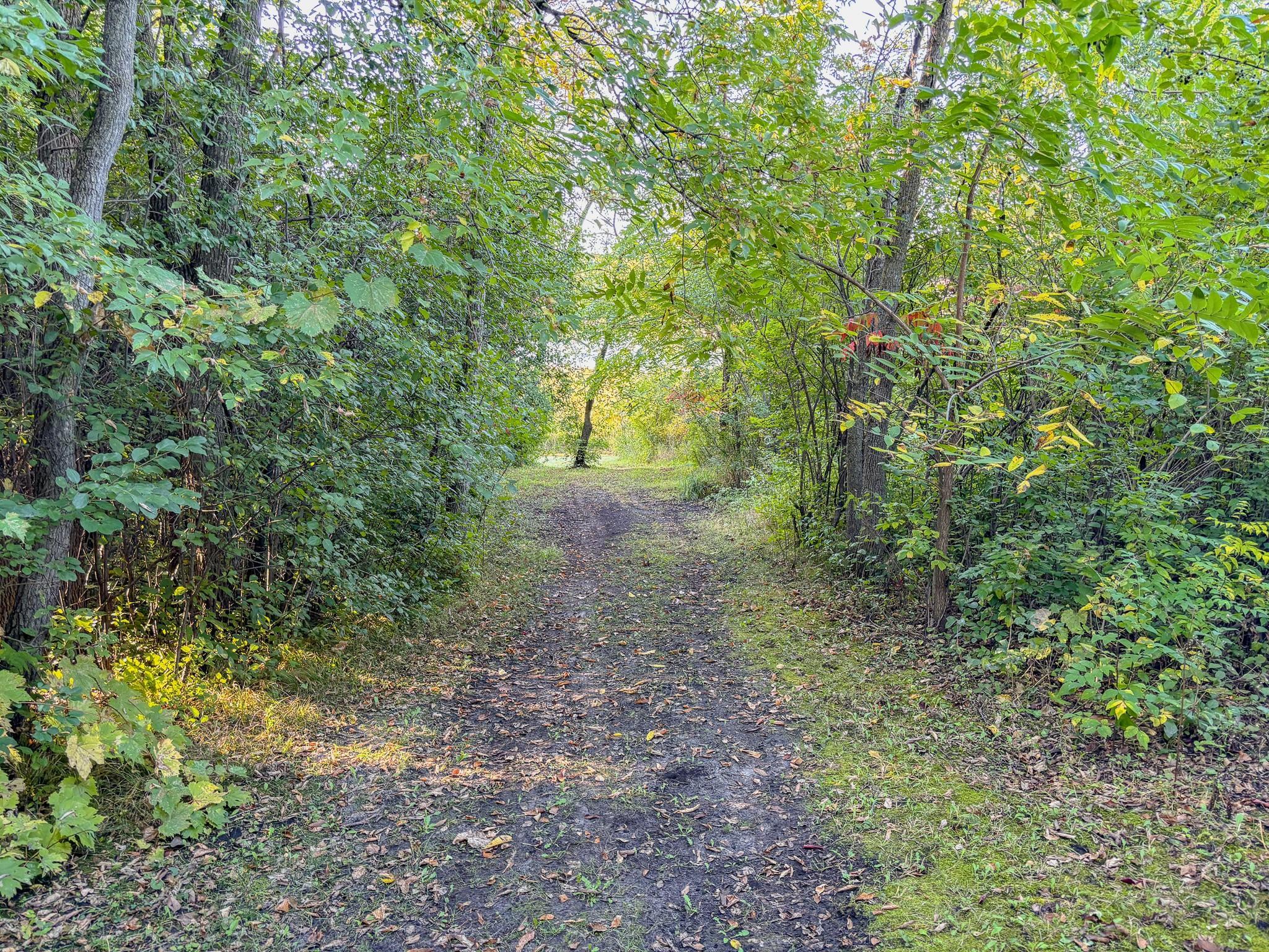 main property photo 48