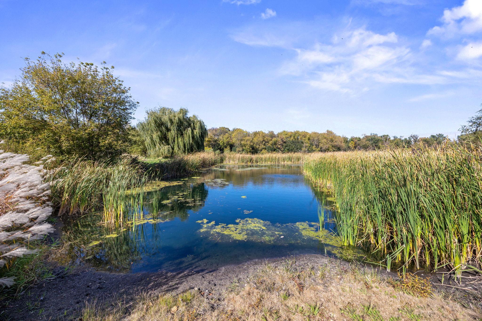 main property photo 40