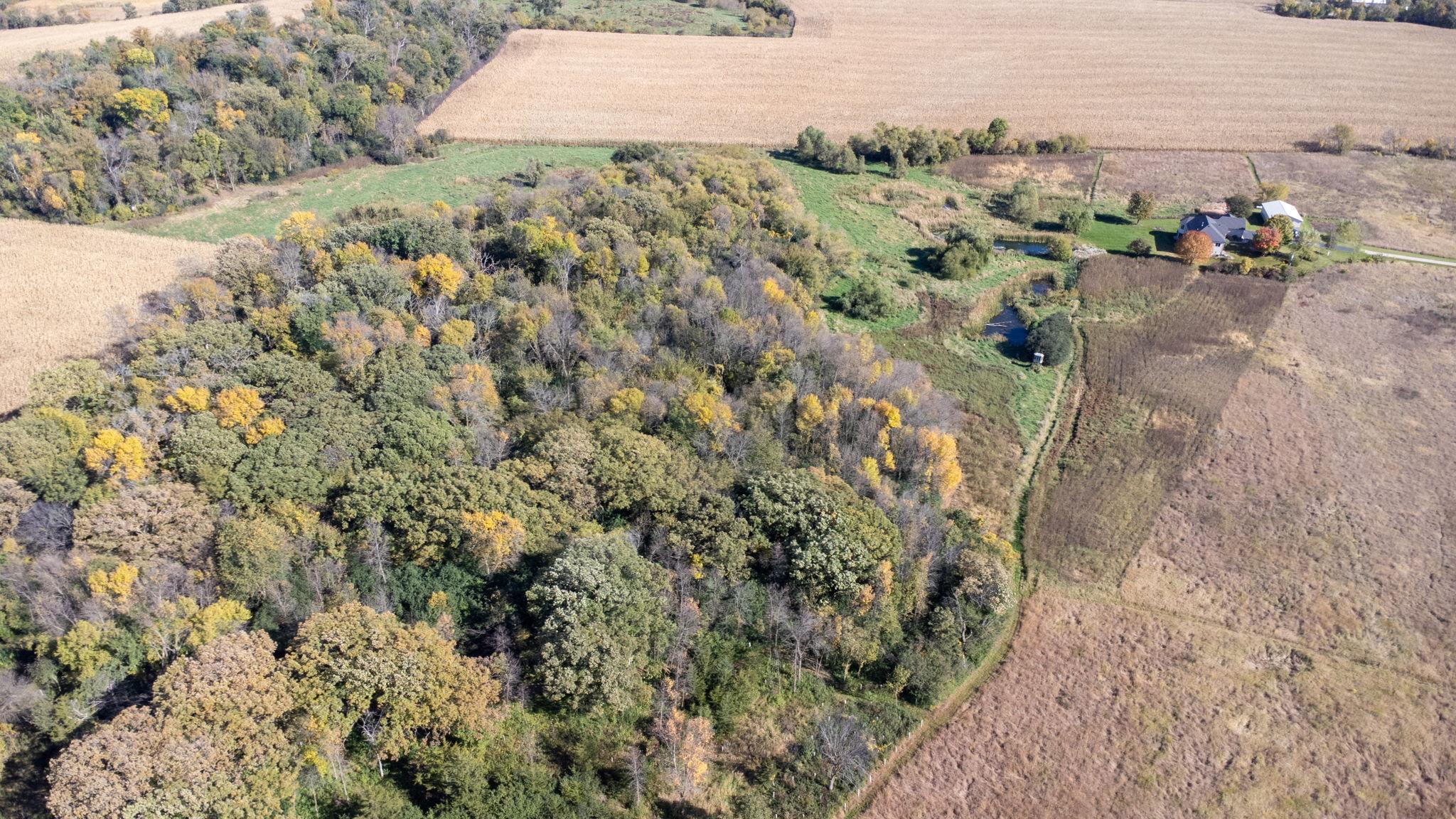 main property photo 54