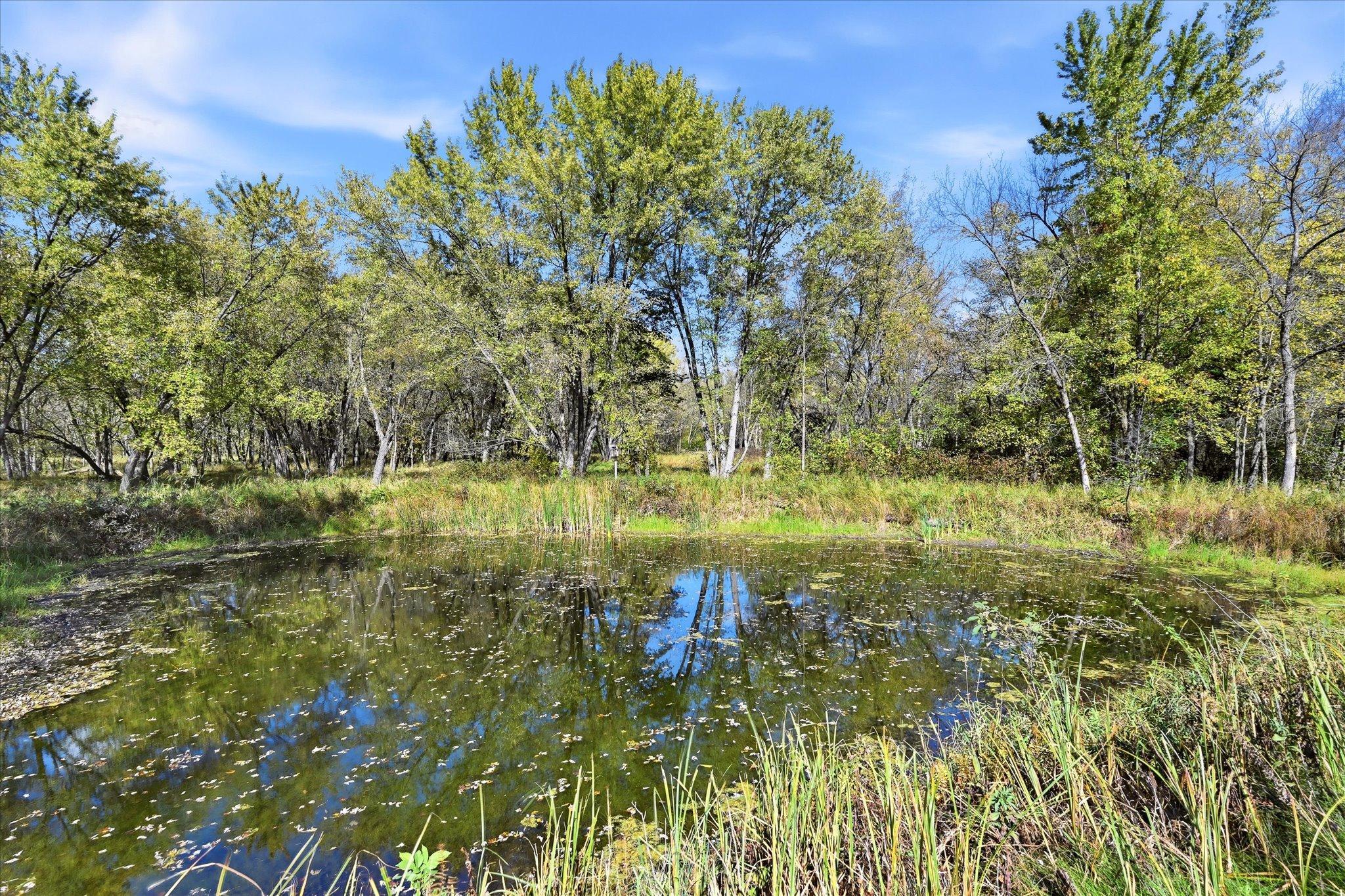 main property photo 50