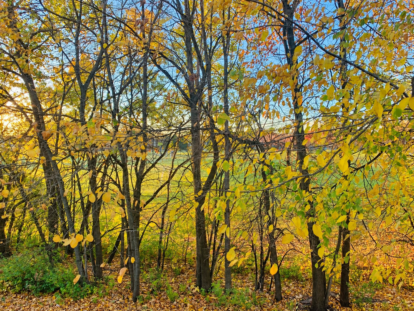 main property photo 14