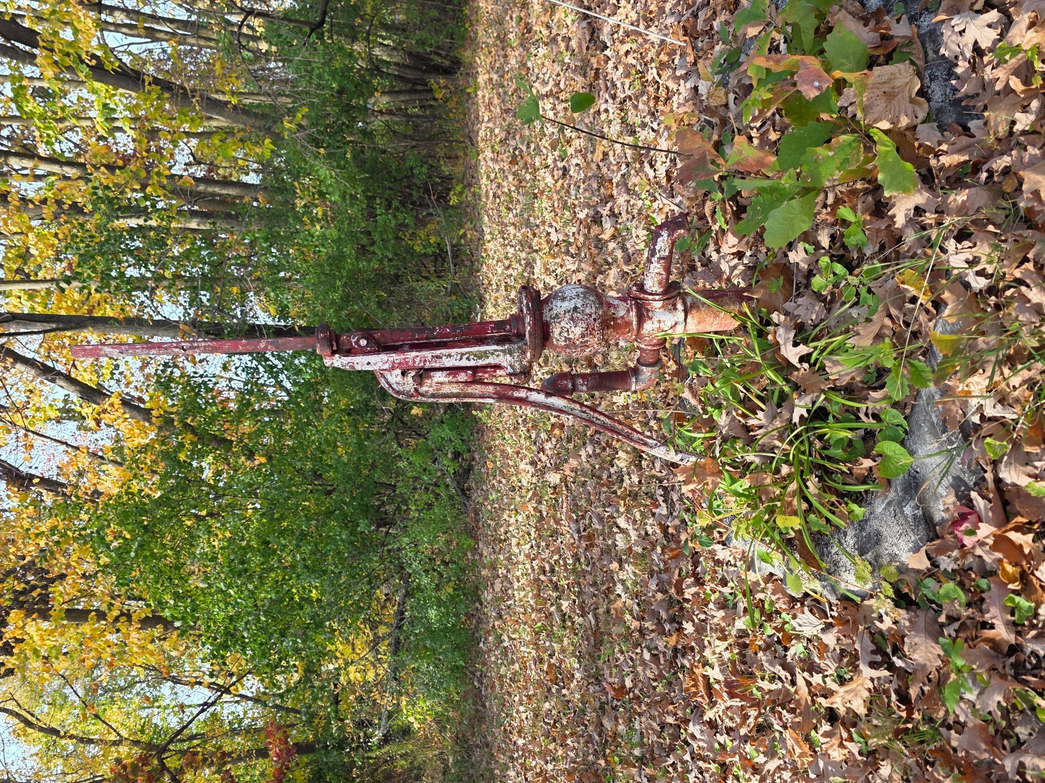 main property photo 54