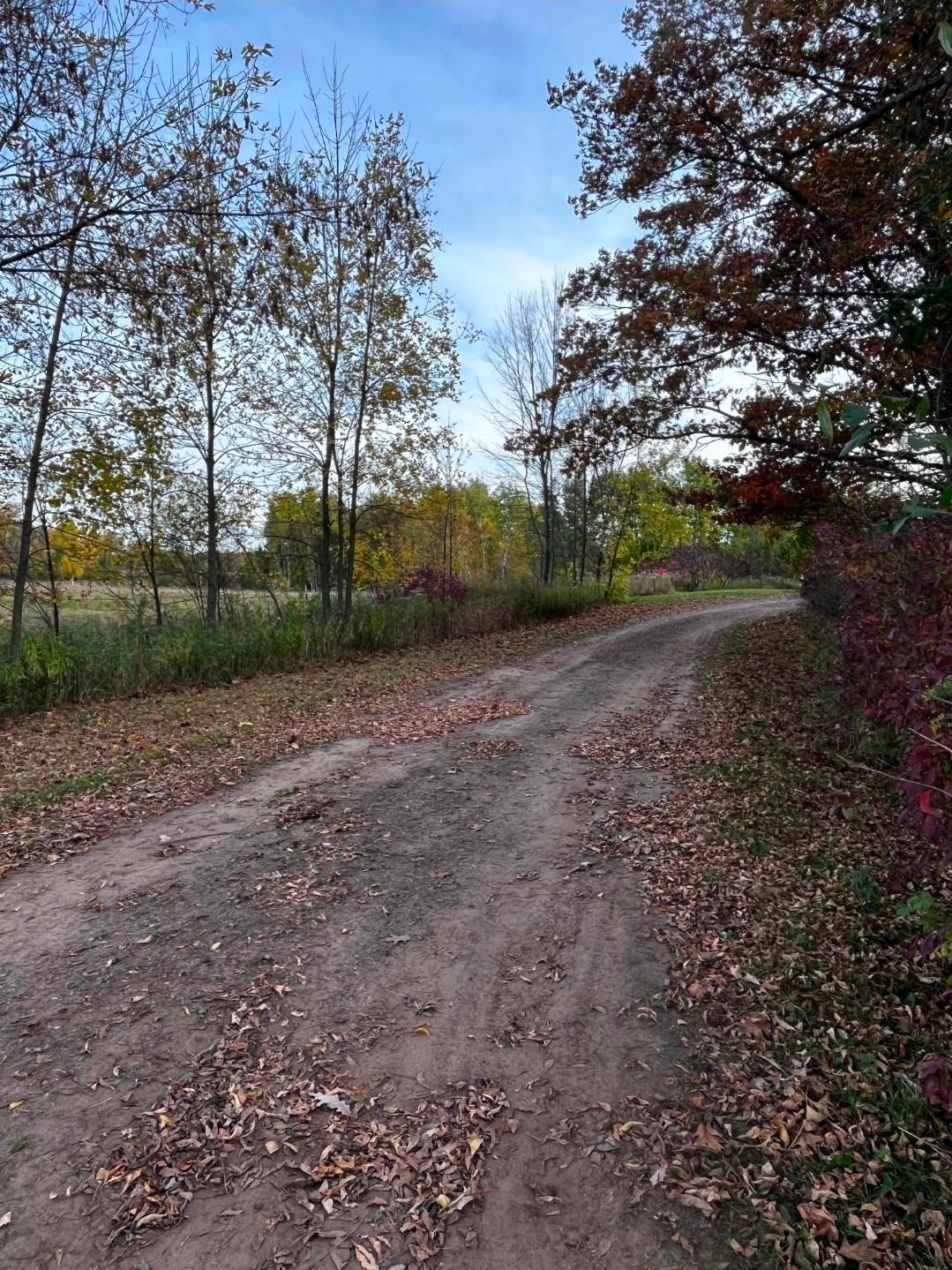 main property photo 56