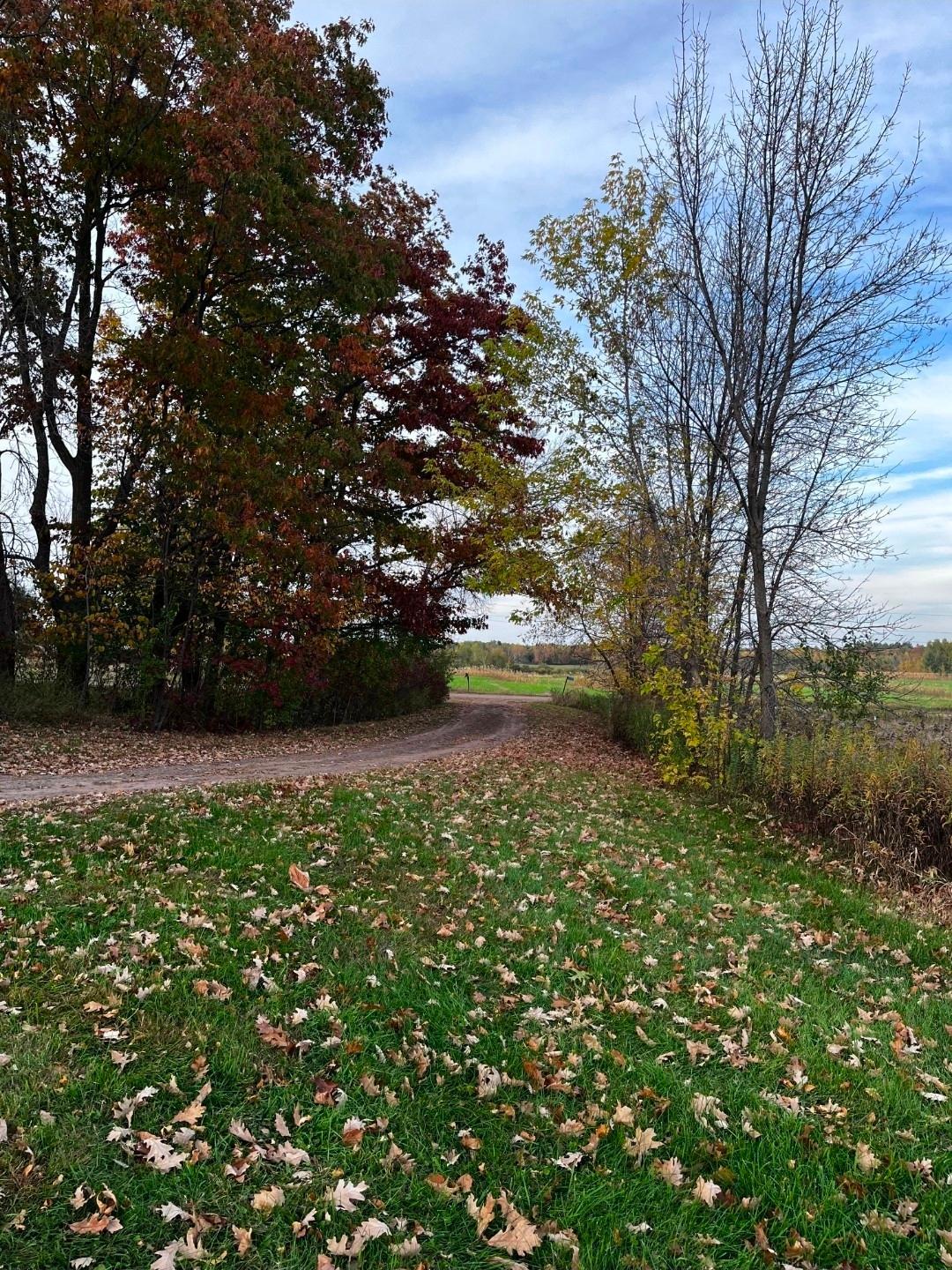 main property photo 57