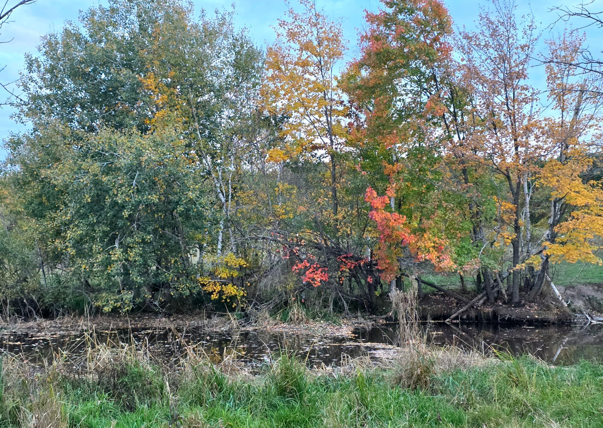 main property photo 8