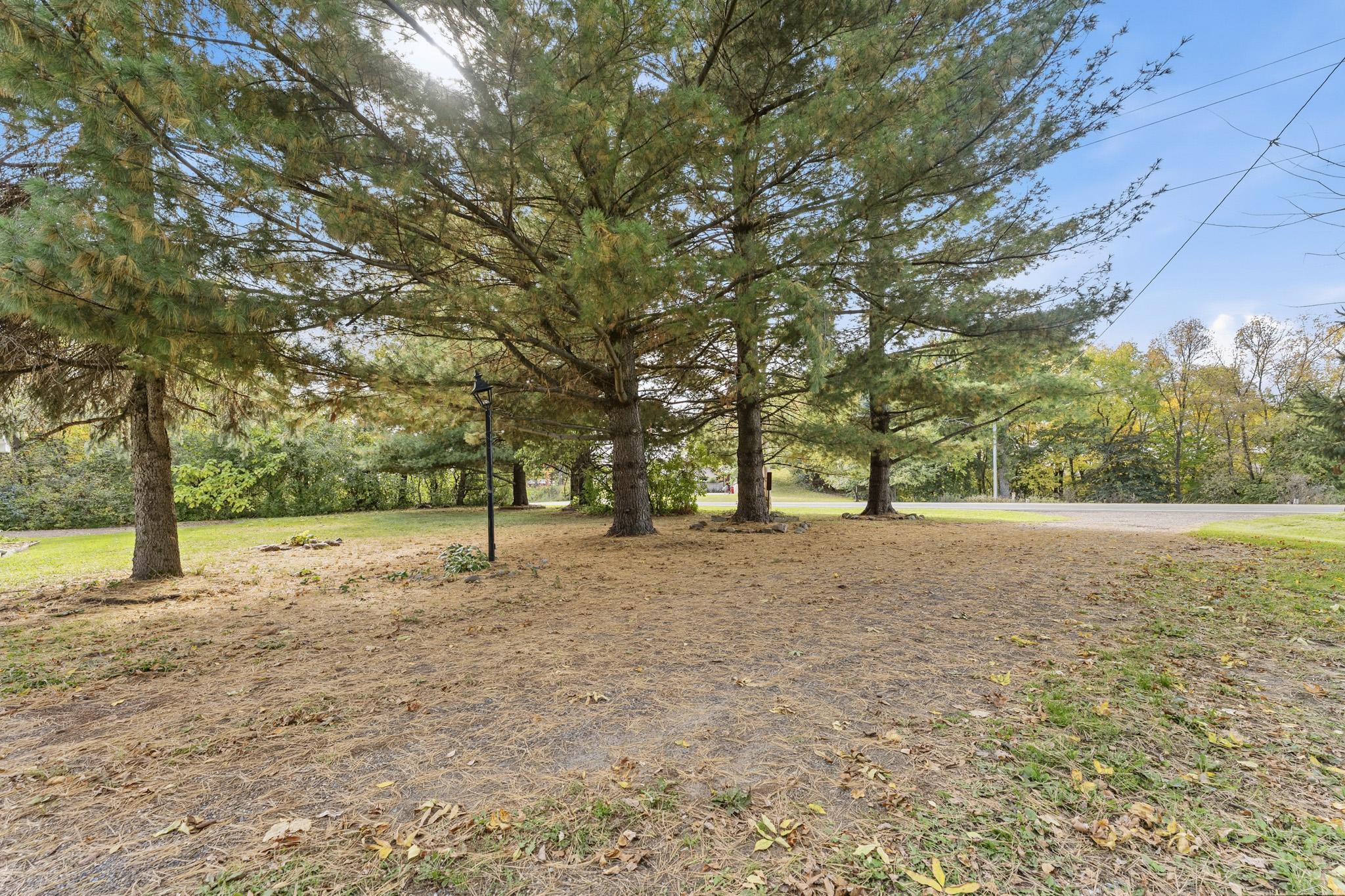 main property photo 25